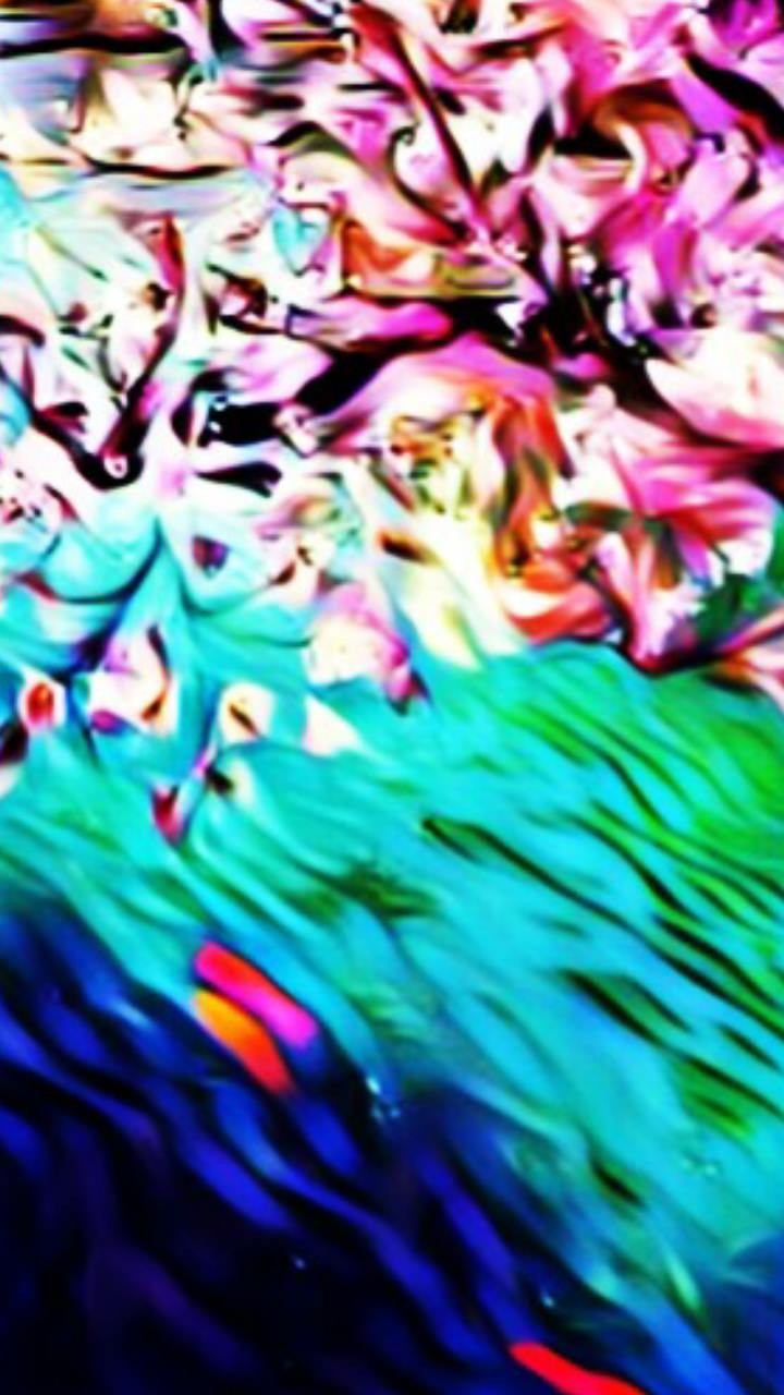 87813277_1549077325254521_4098706635105501184_o.jpg