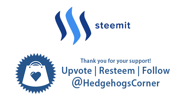 Steemit_ThankYouFooter_HedgehogsCorner.png