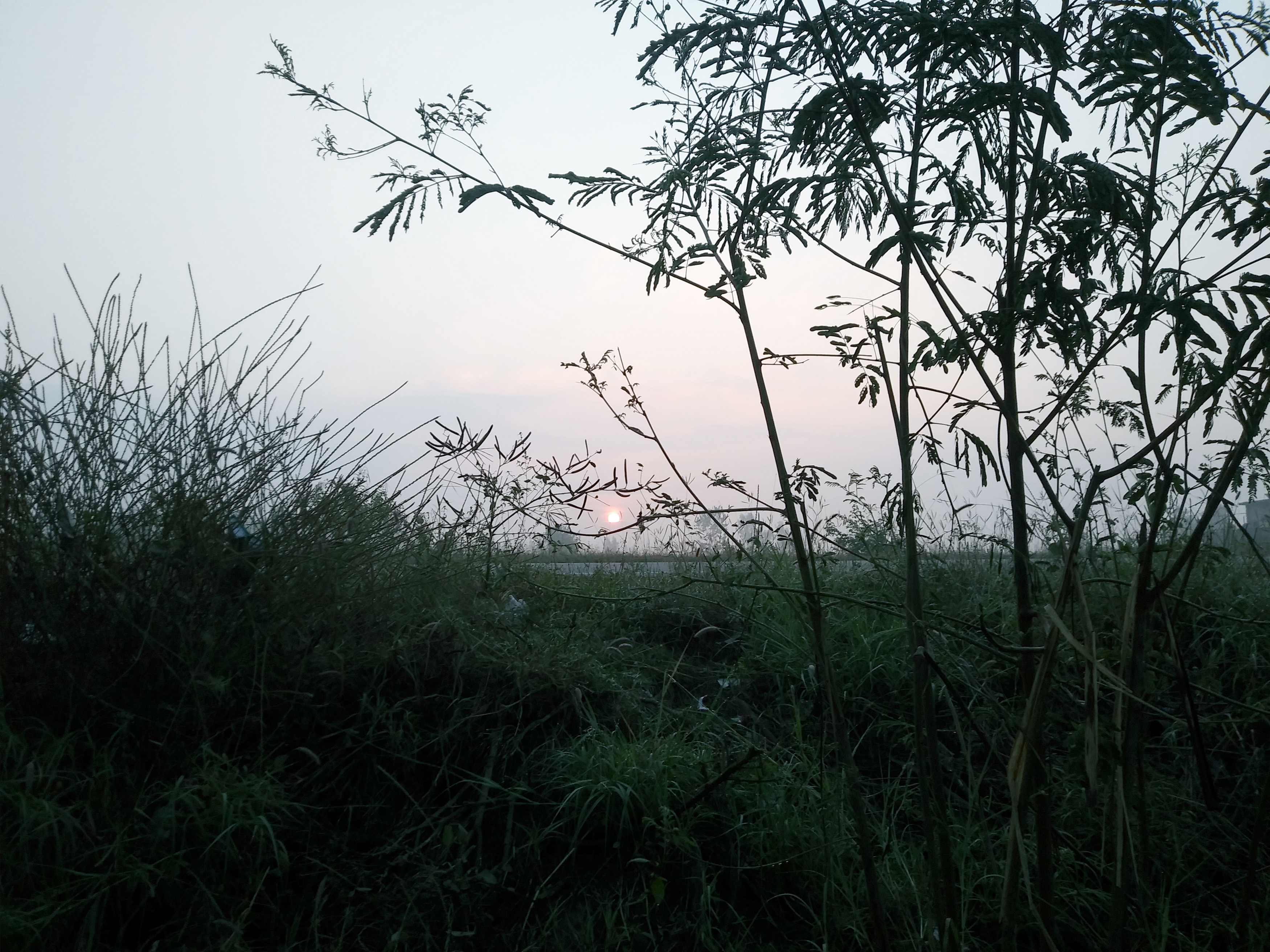 20191215_072438.jpg