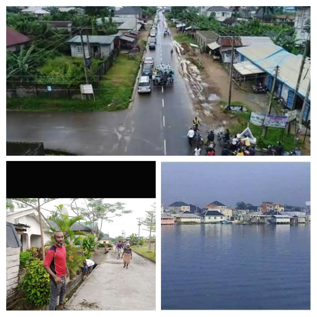 IMG_20220215_111603-COLLAGE.jpg