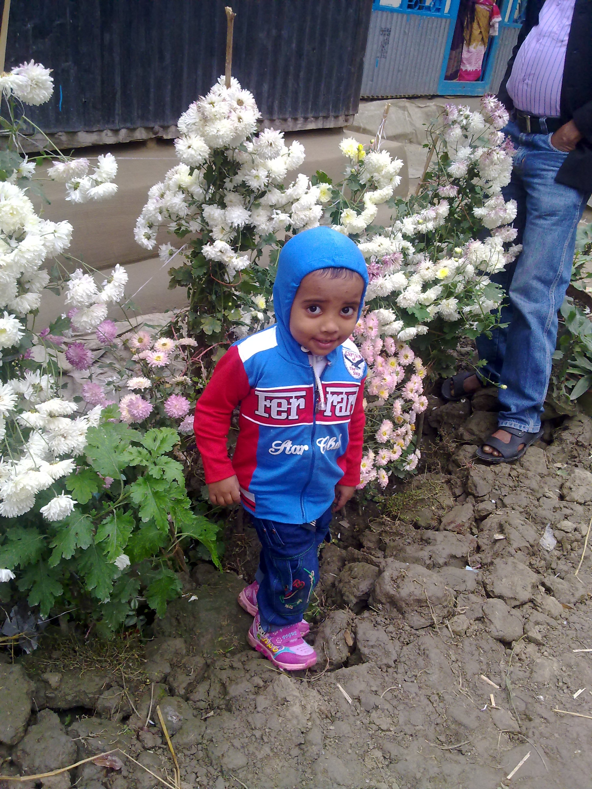 01012015285.jpg