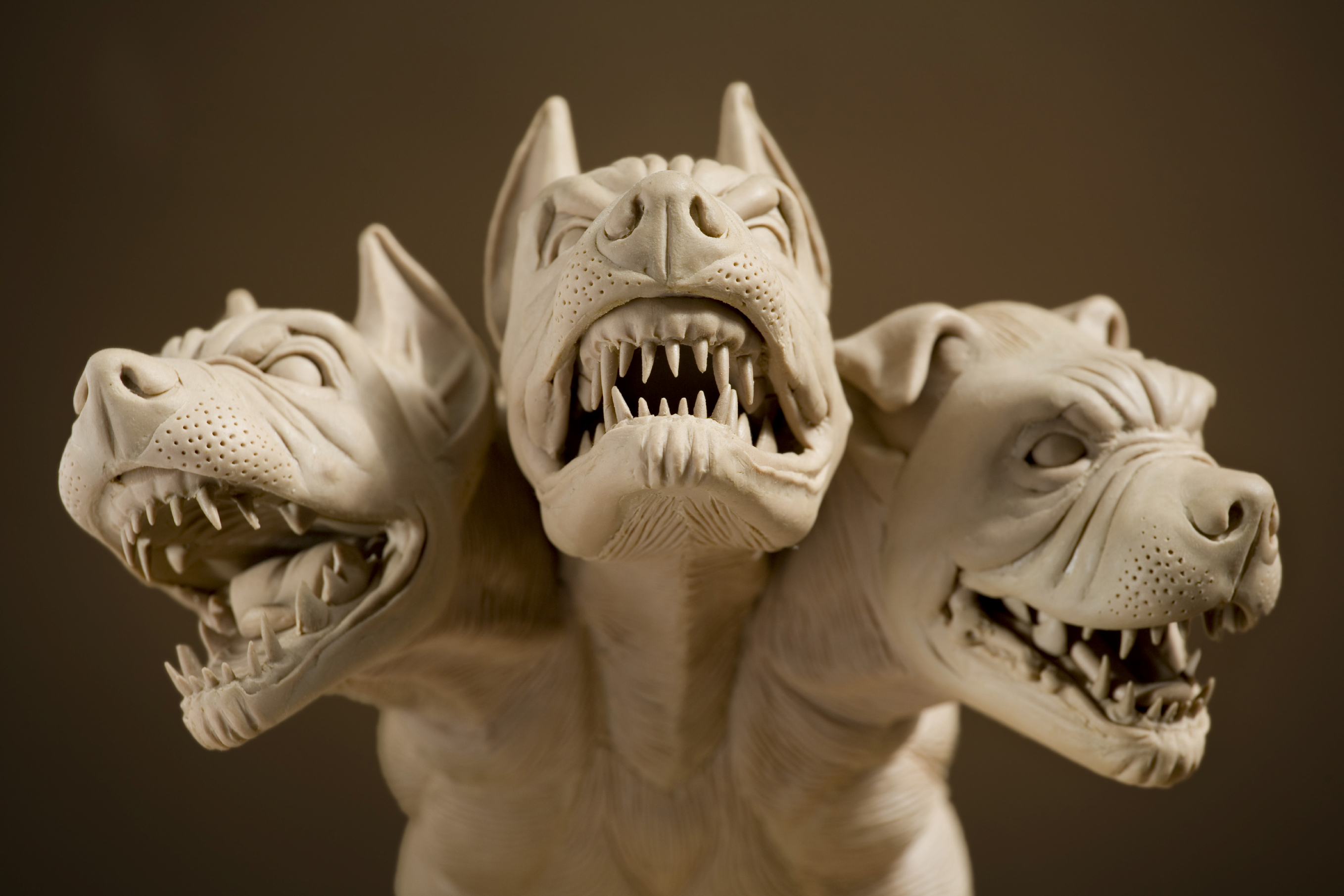 Cerberus-Steve-160602.jpg