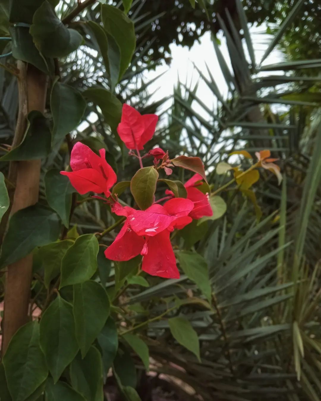 292363384_139864422020961_2778691219559017649_n.webp (1).jpg