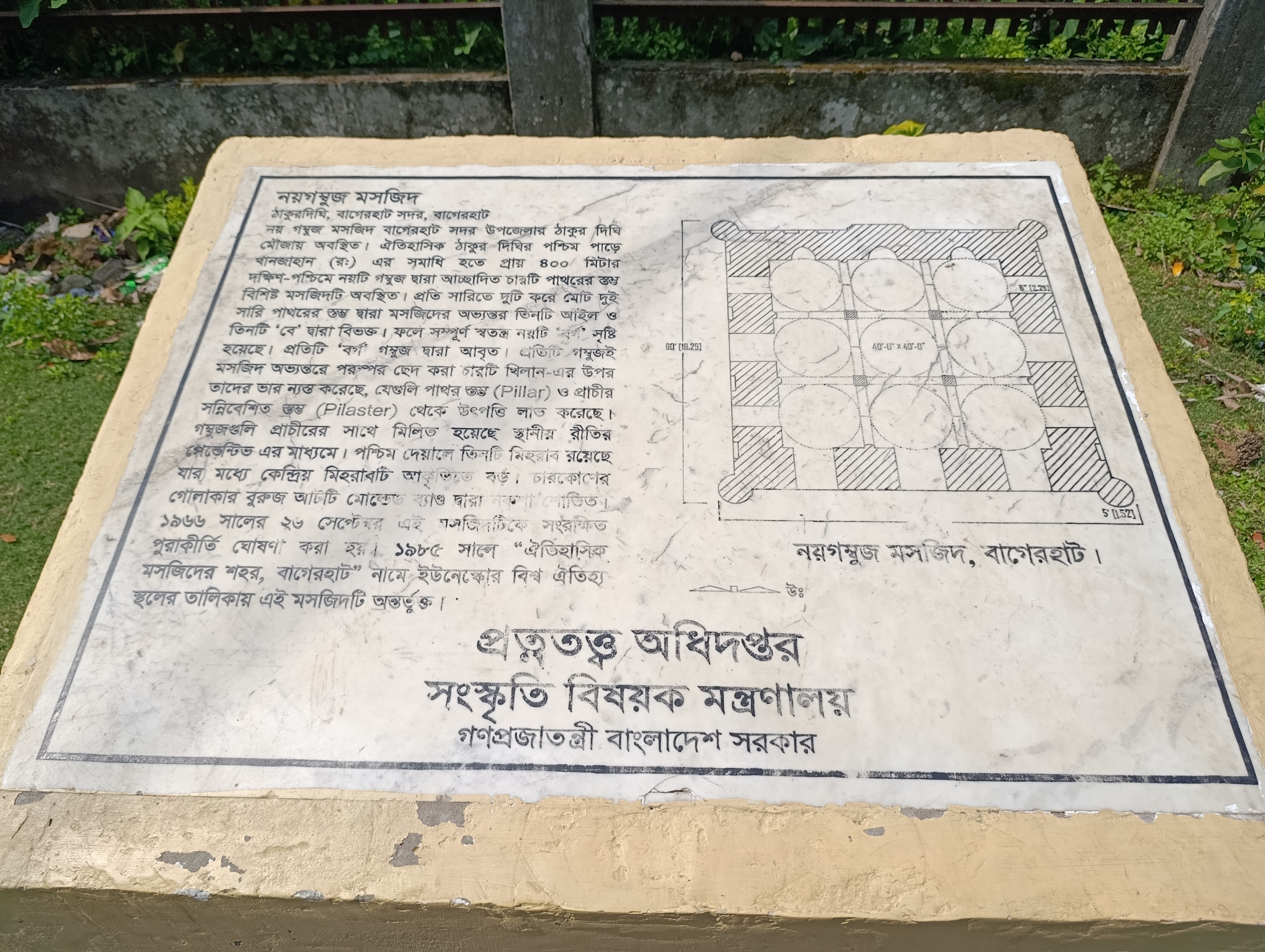 1000053487.jpg