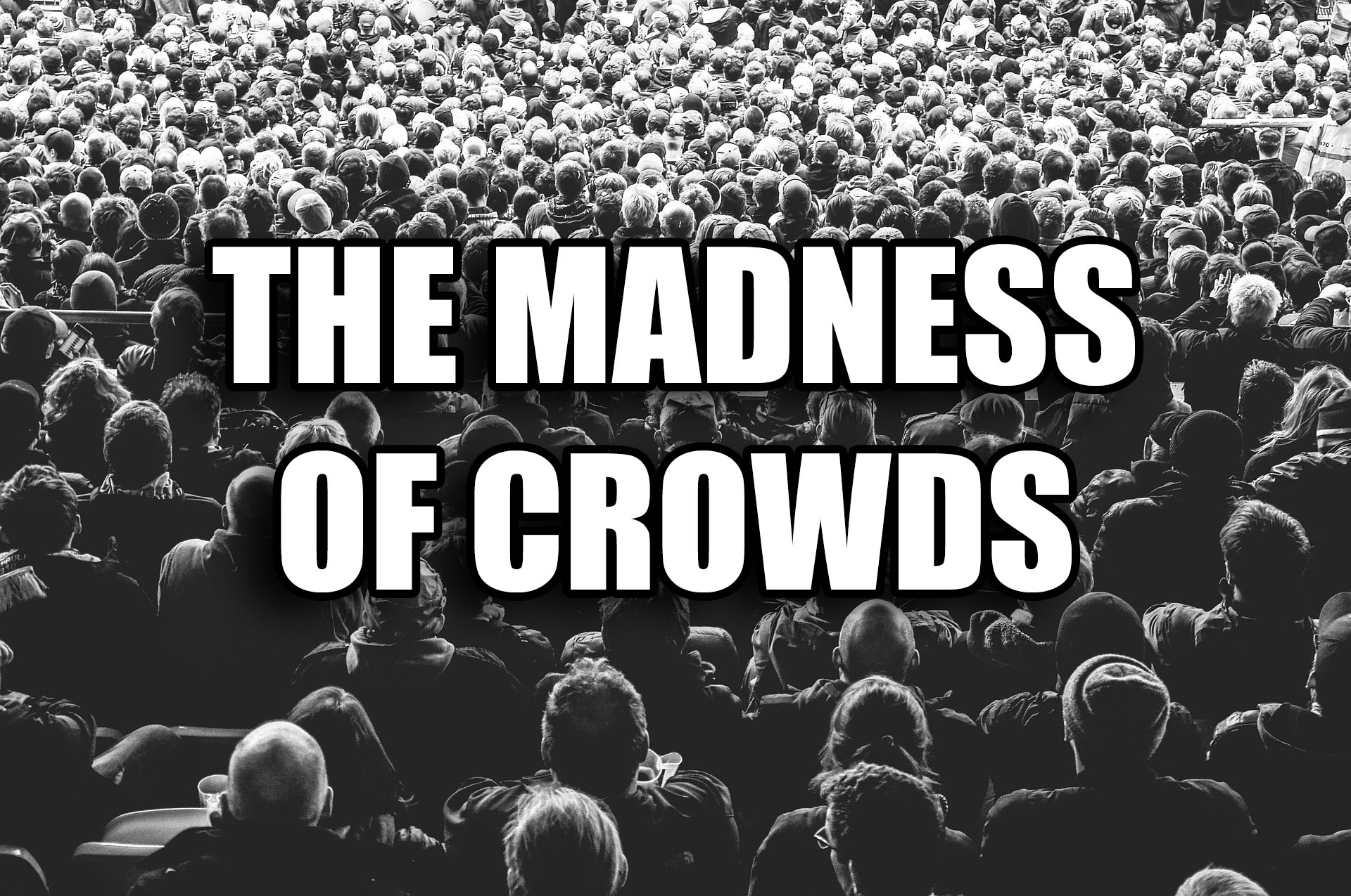 Мэд крауд. Crowd надпись. Знак Mad crowd. Mad crowd лого. Предложения со словом crowd.
