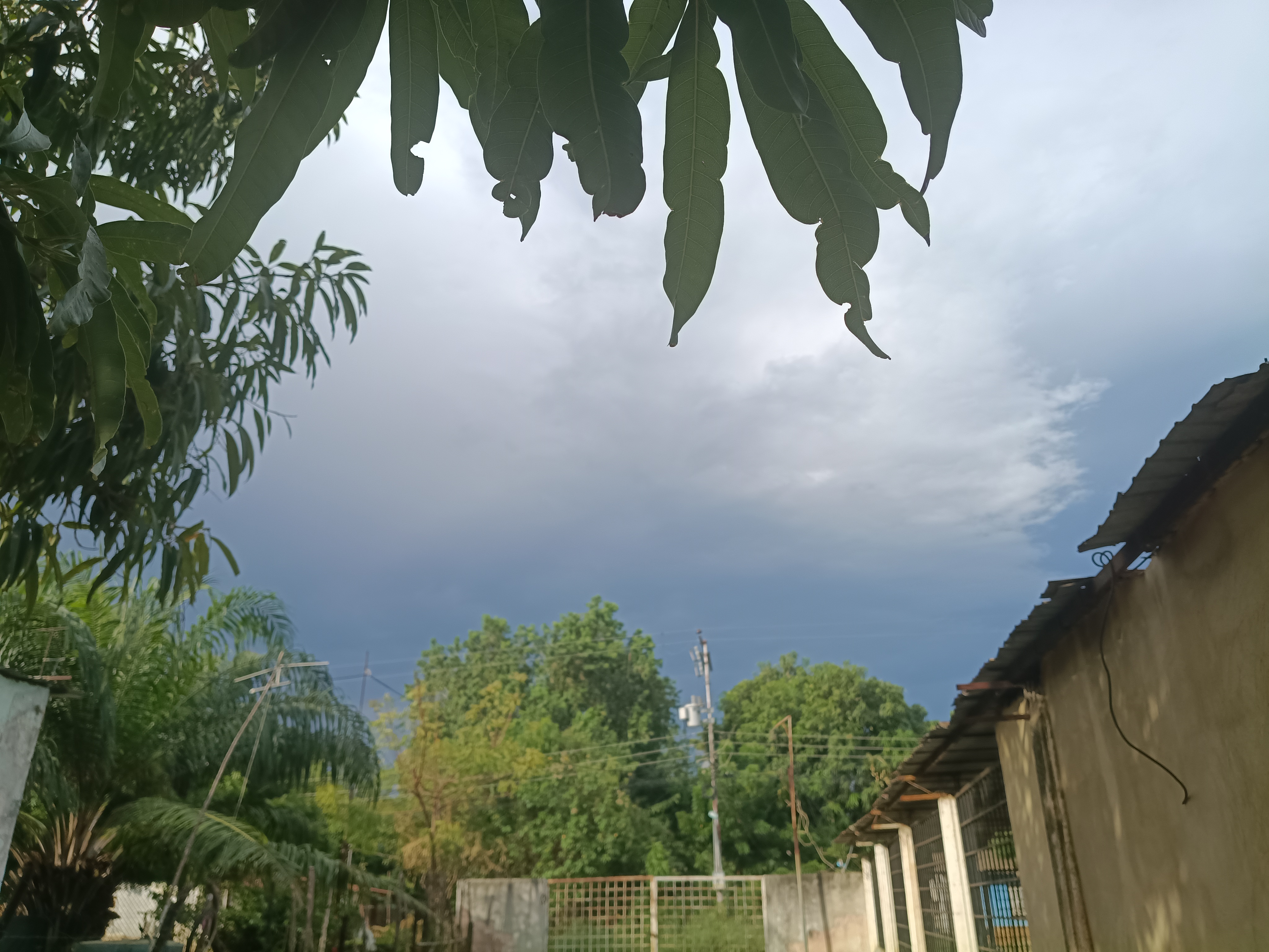10435.jpg