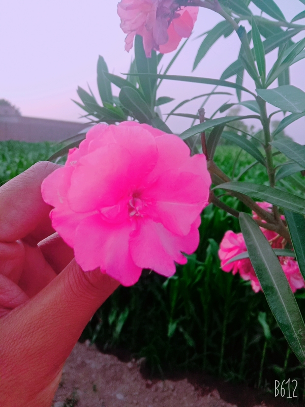 B612_20210503_173308_585.jpg