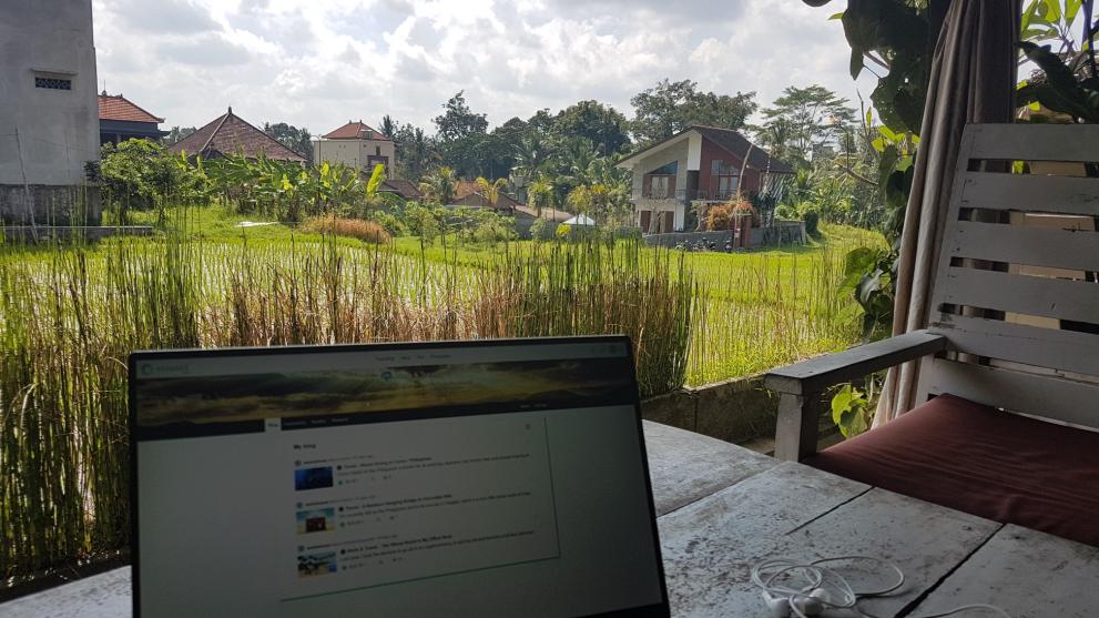 view.jpg