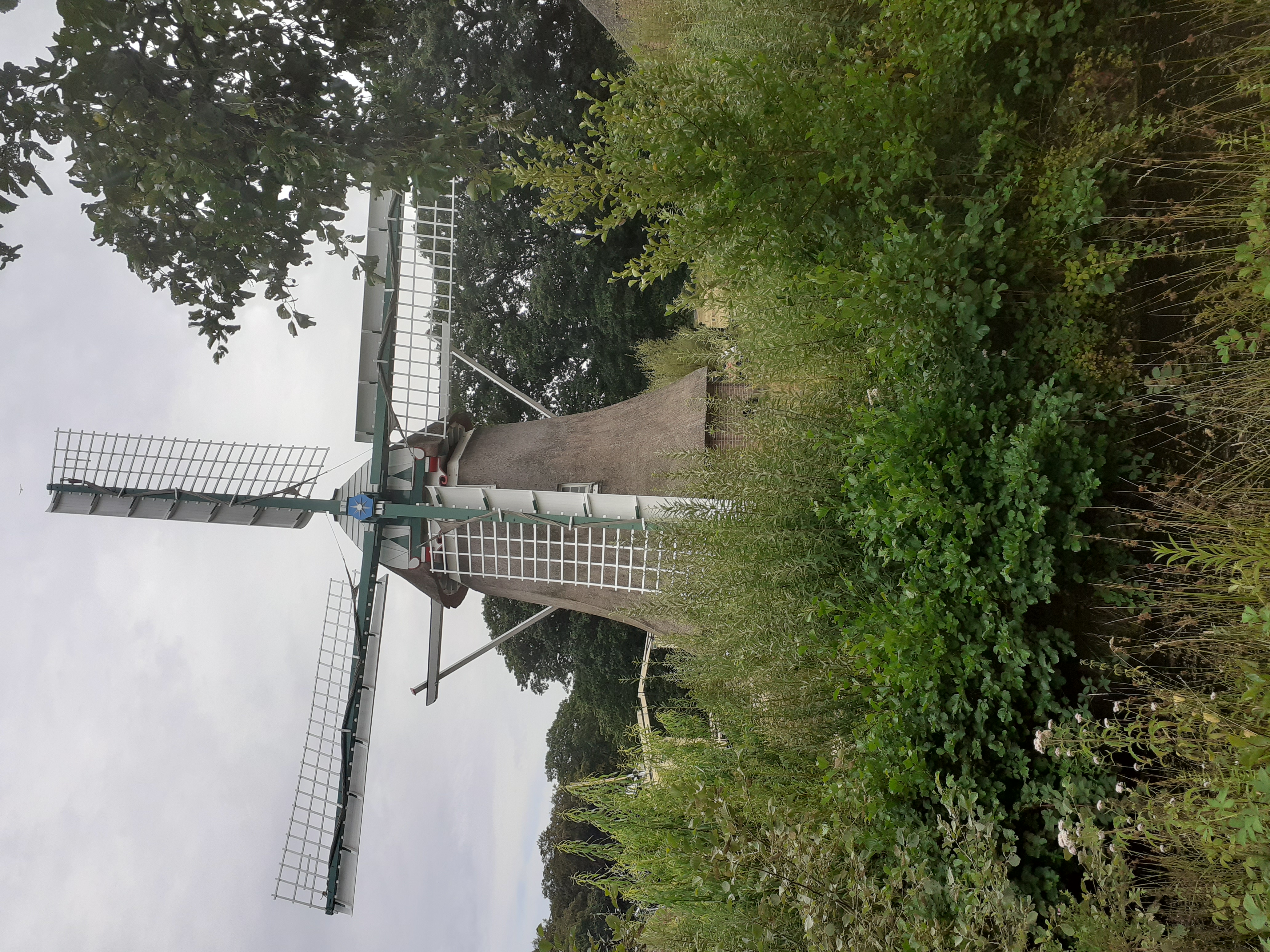 20260809_170127.jpg