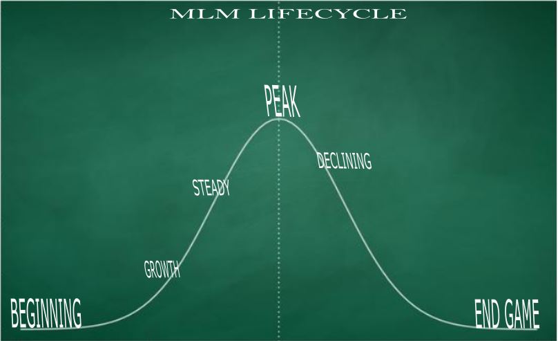 MLM LIFECYCLE.JPG