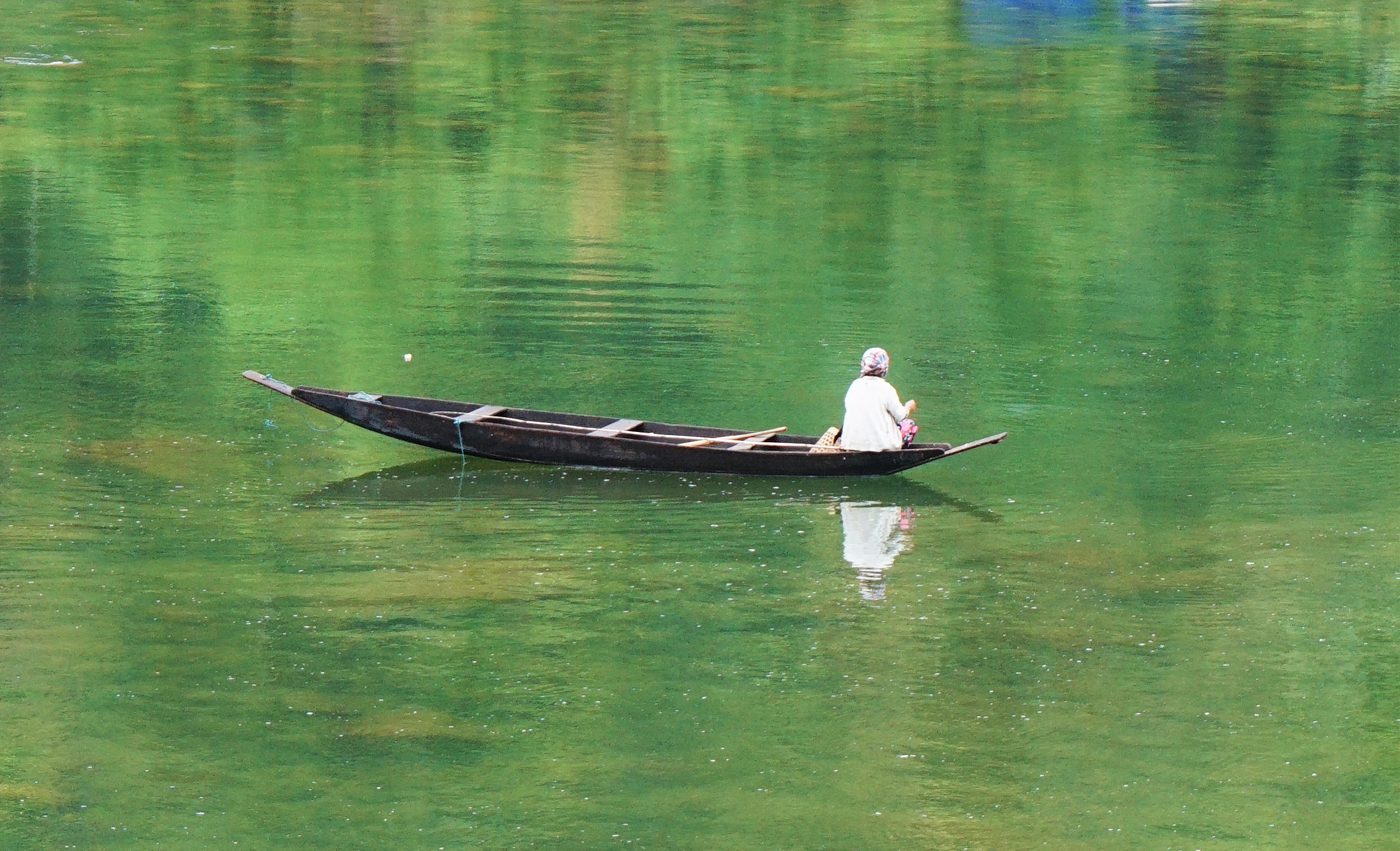 DSC05622.jpg