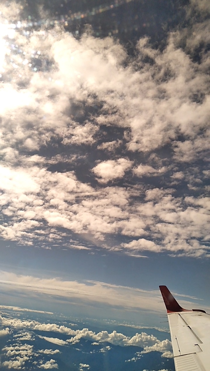 Screenshot_20220212_205036.jpg
