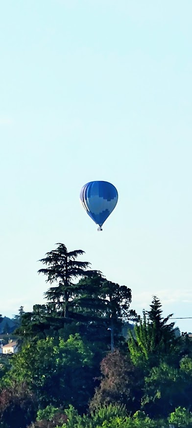 IMG_20210711_072536_2.jpg