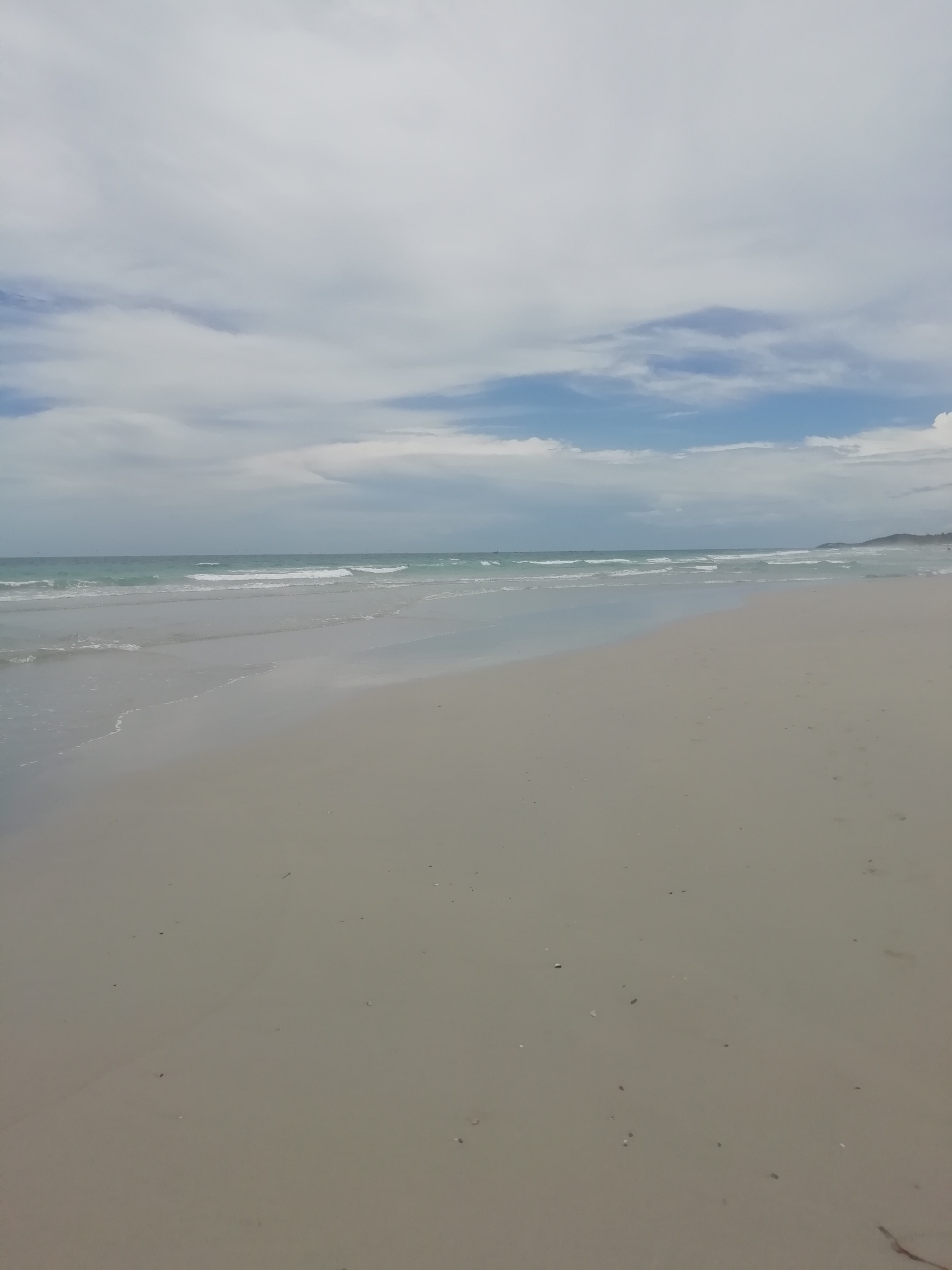 IMG_20210725_112440.jpg