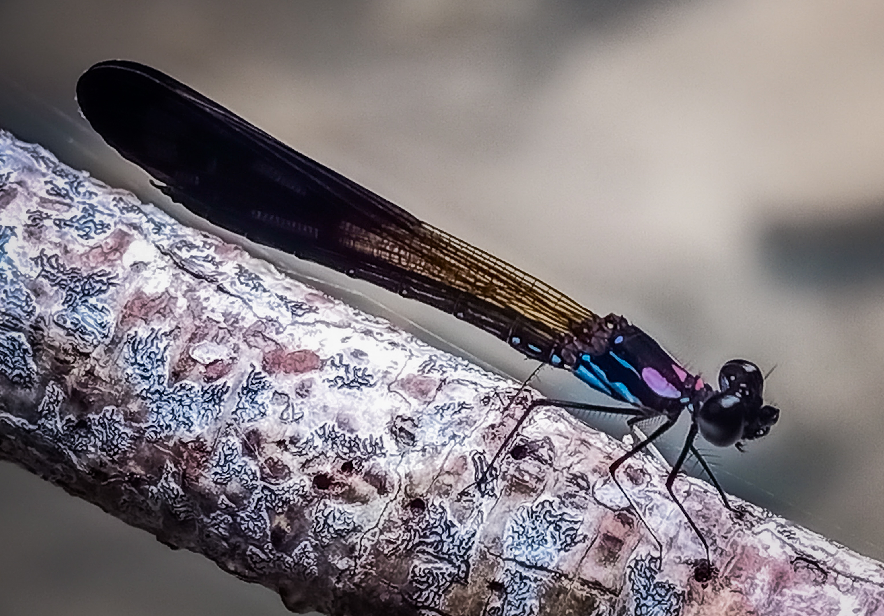 IMG20210704121512 (1).jpg