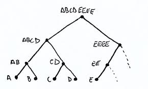 images (5).jpeg