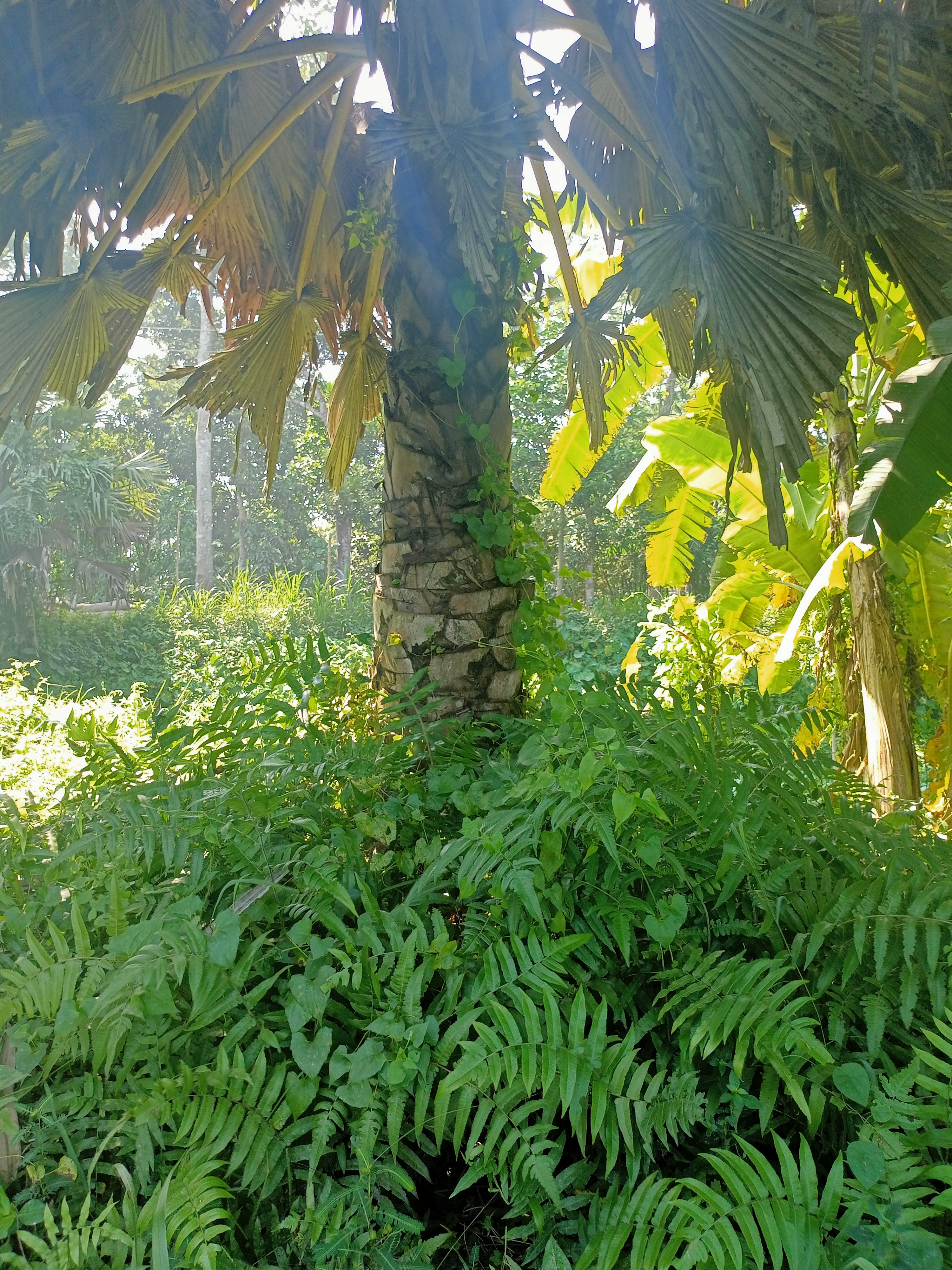 IMG20211029101250.jpg