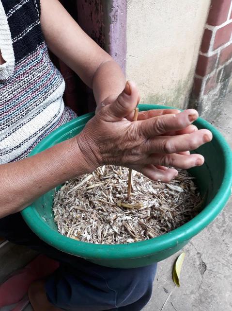 puso7.jpg