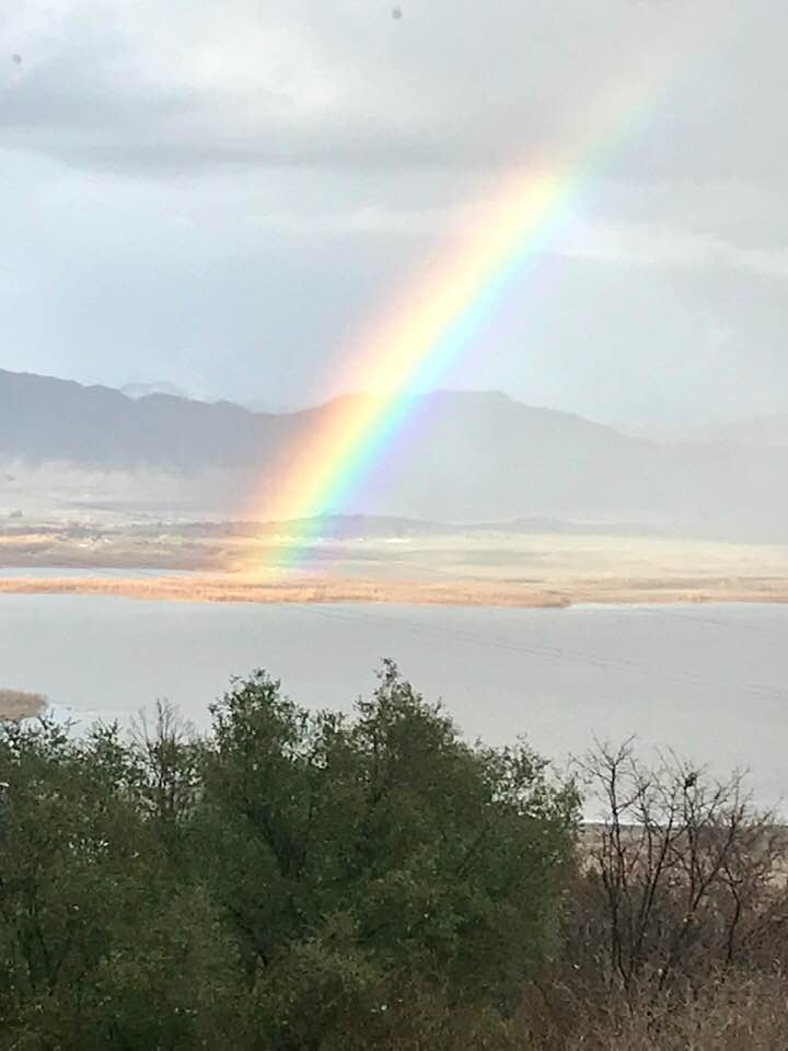 rainbow.jpg