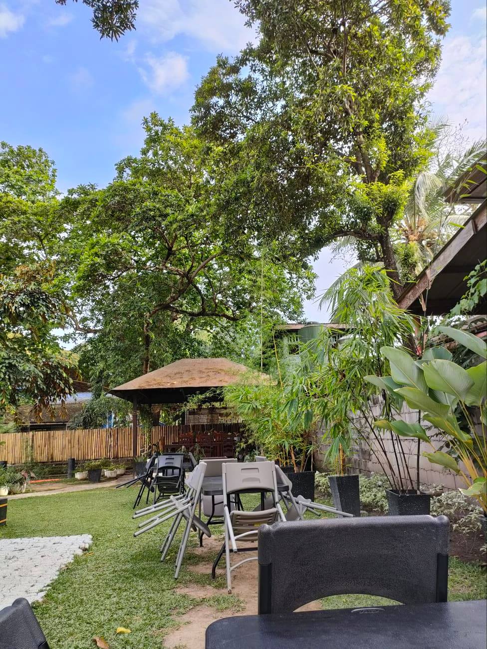 173775841_796034014672952_7339026340957234673_n (2).jpg