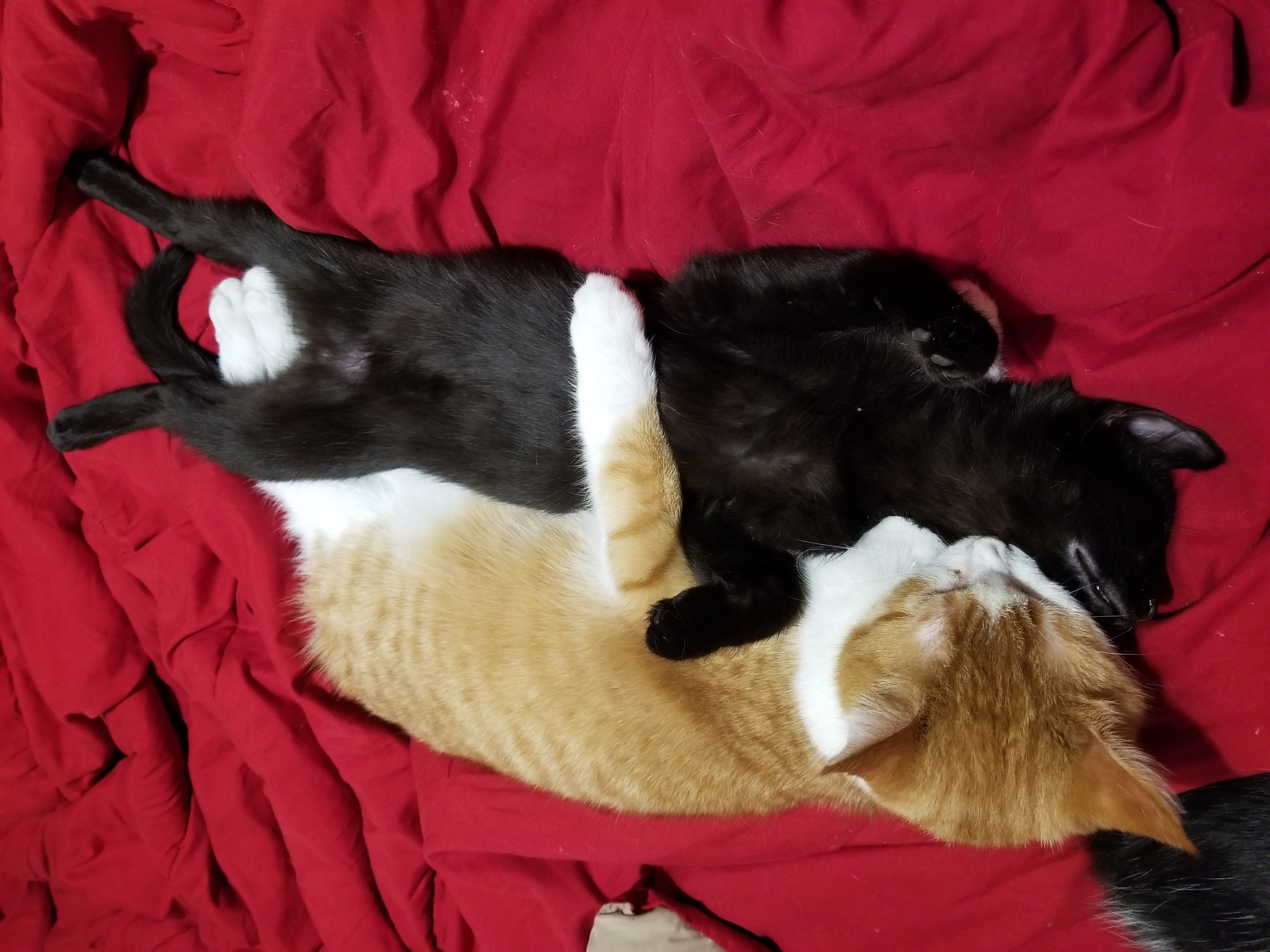 20180117_123828.jpg