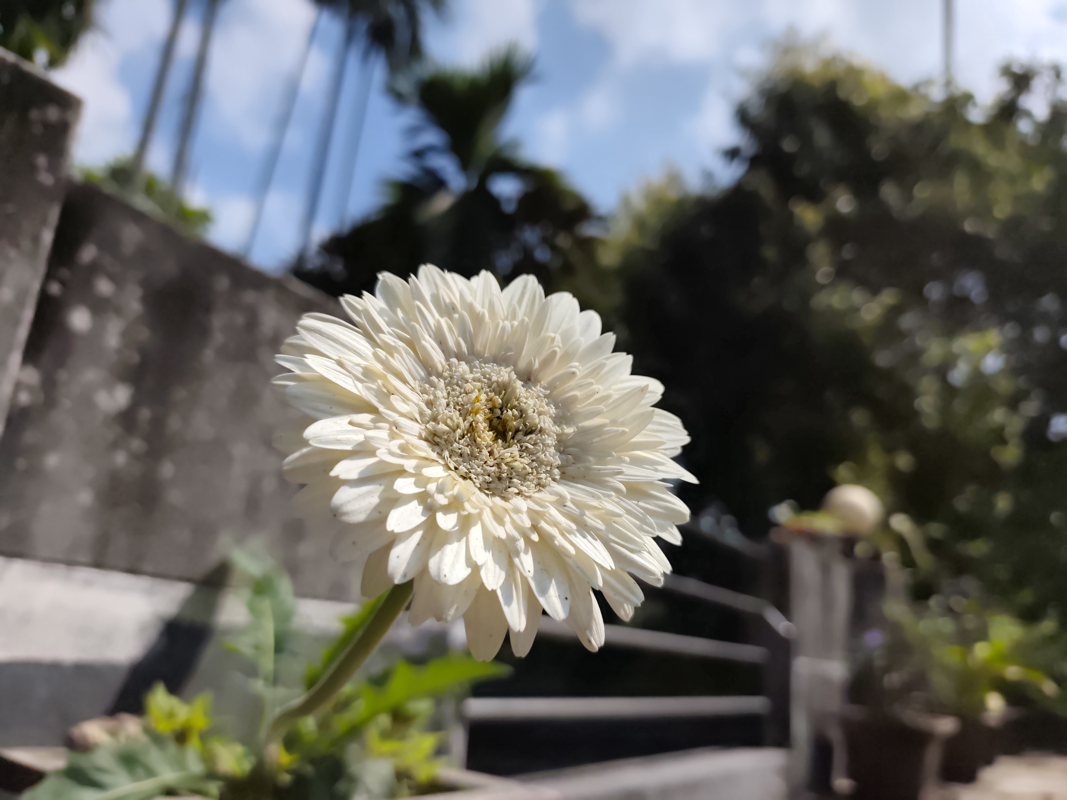1775485631502.jpg