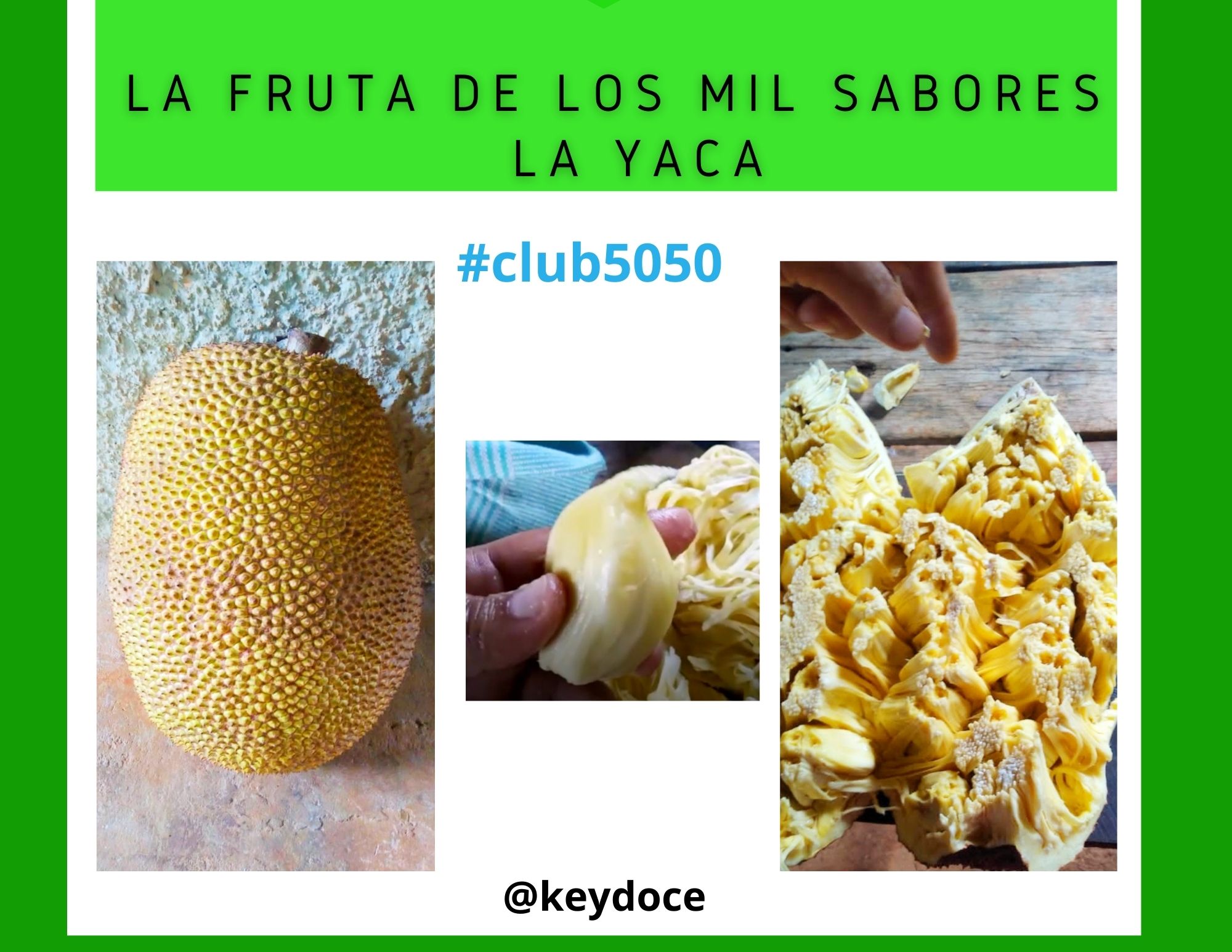 Sábado de #Cotinanatural // LA FRUTA DE LOS MIL SABORES YACA// A FRUTA DE MIL  SABORES JACA @keydoce//#club5050 — Steemit