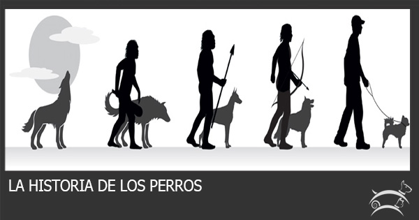 Una Breve Historia De Los Perros Steemit