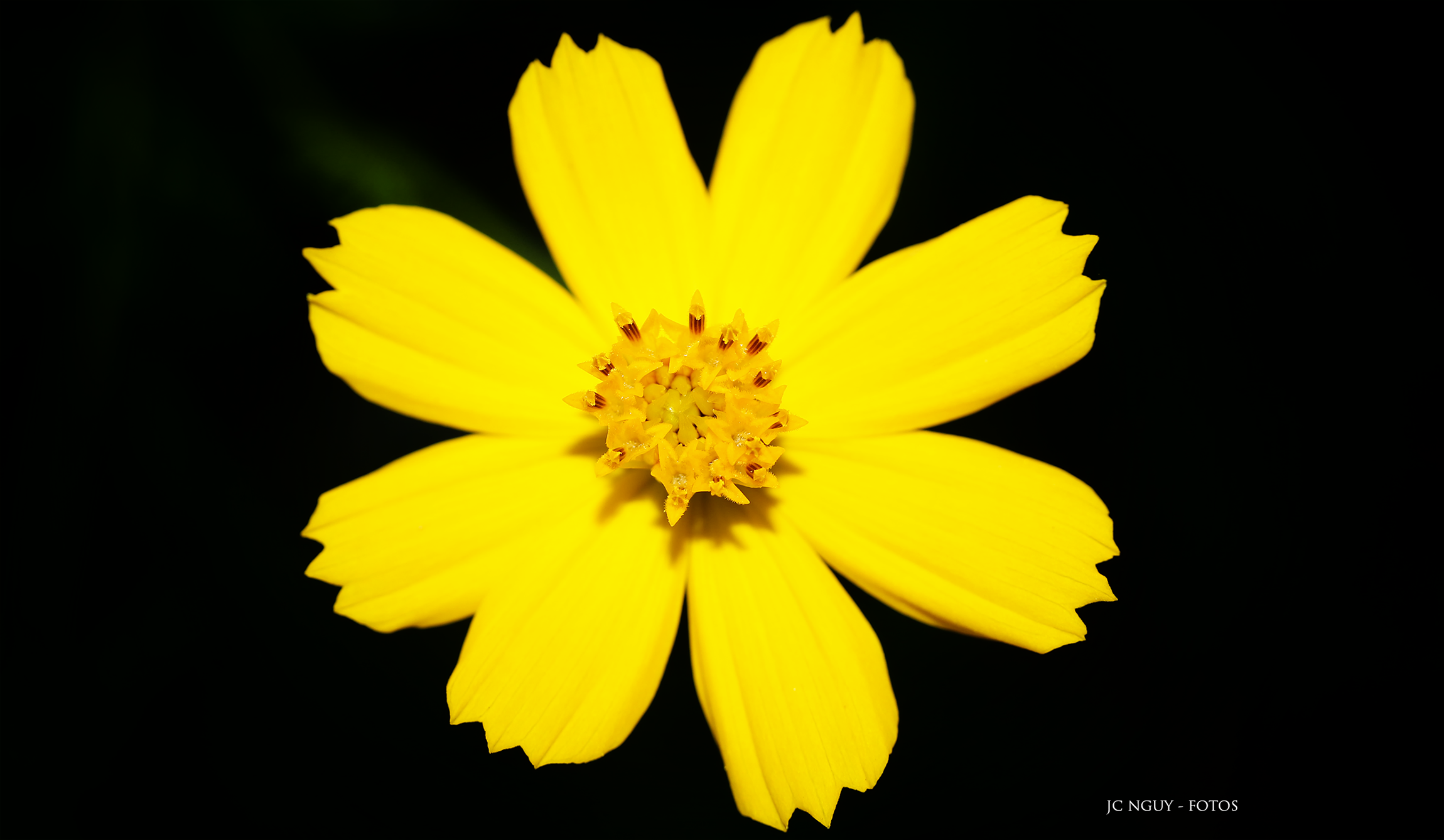 IMG_9416.png