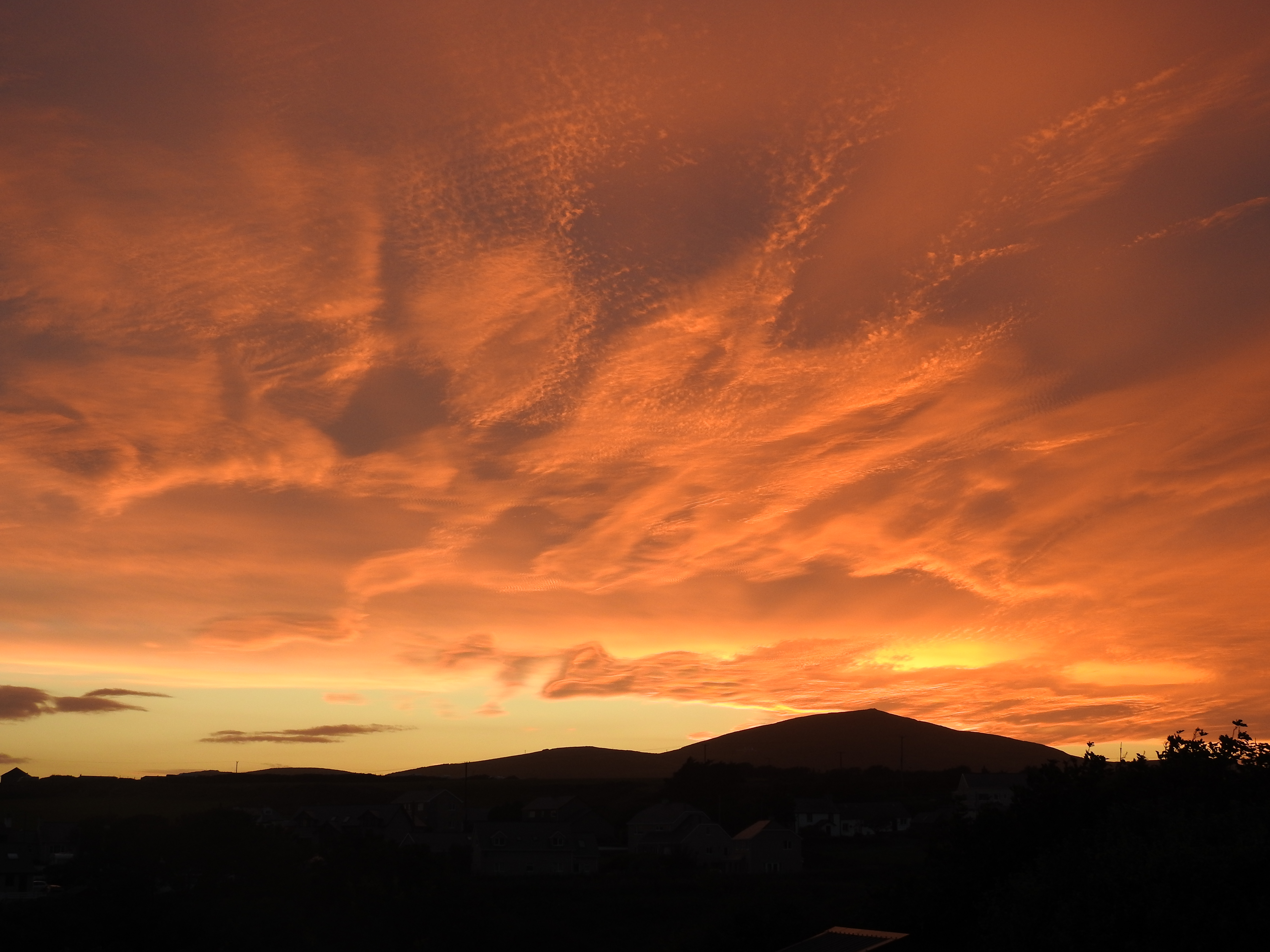 DSCN1695.JPG