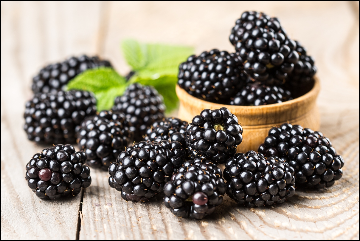 Fresh-Blackberry-with-Leaves.jpg