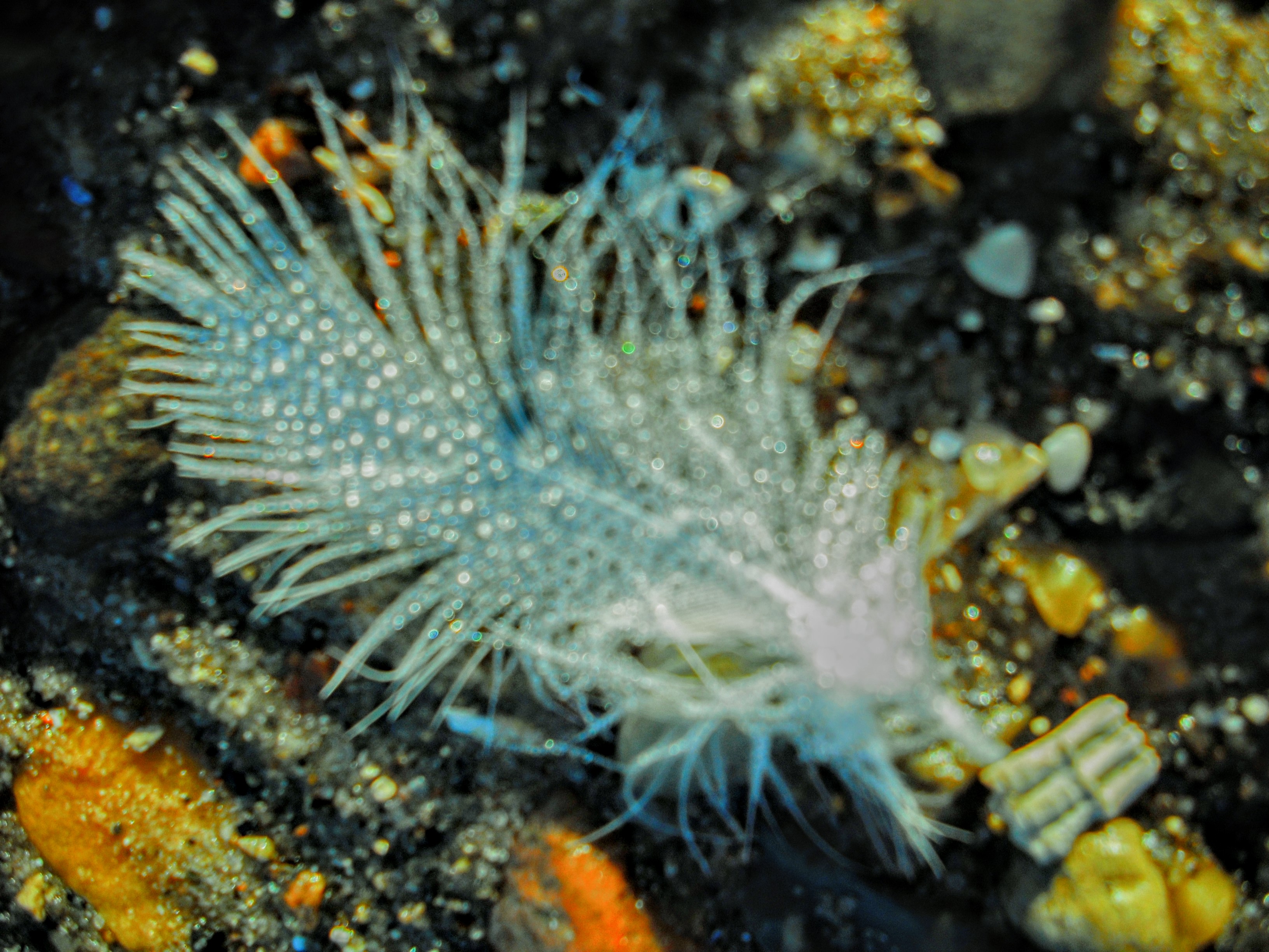 DSCF3520.jpg