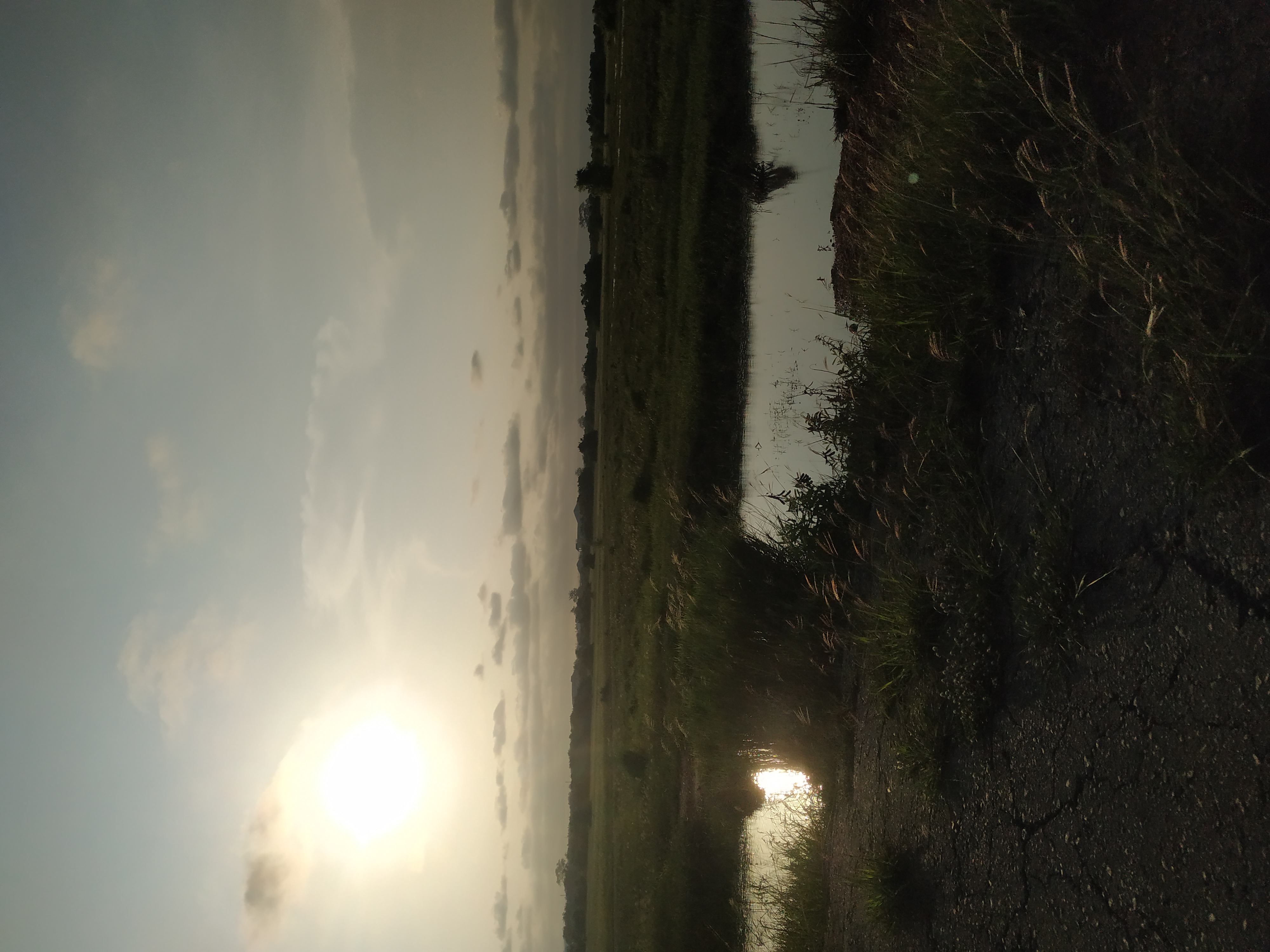 IMG_20201016_170648.jpg