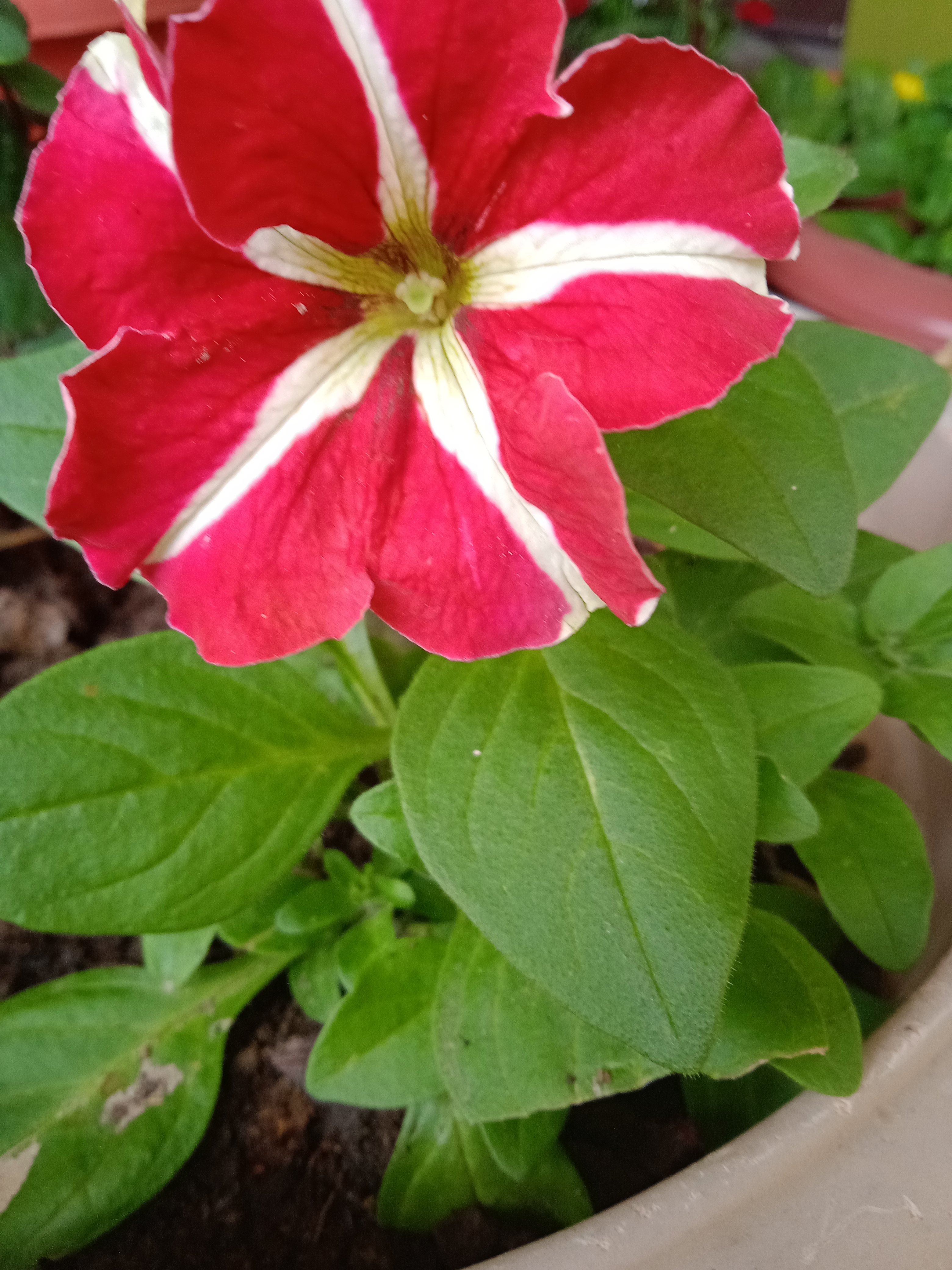 IMG_20220110_095320_1.jpg