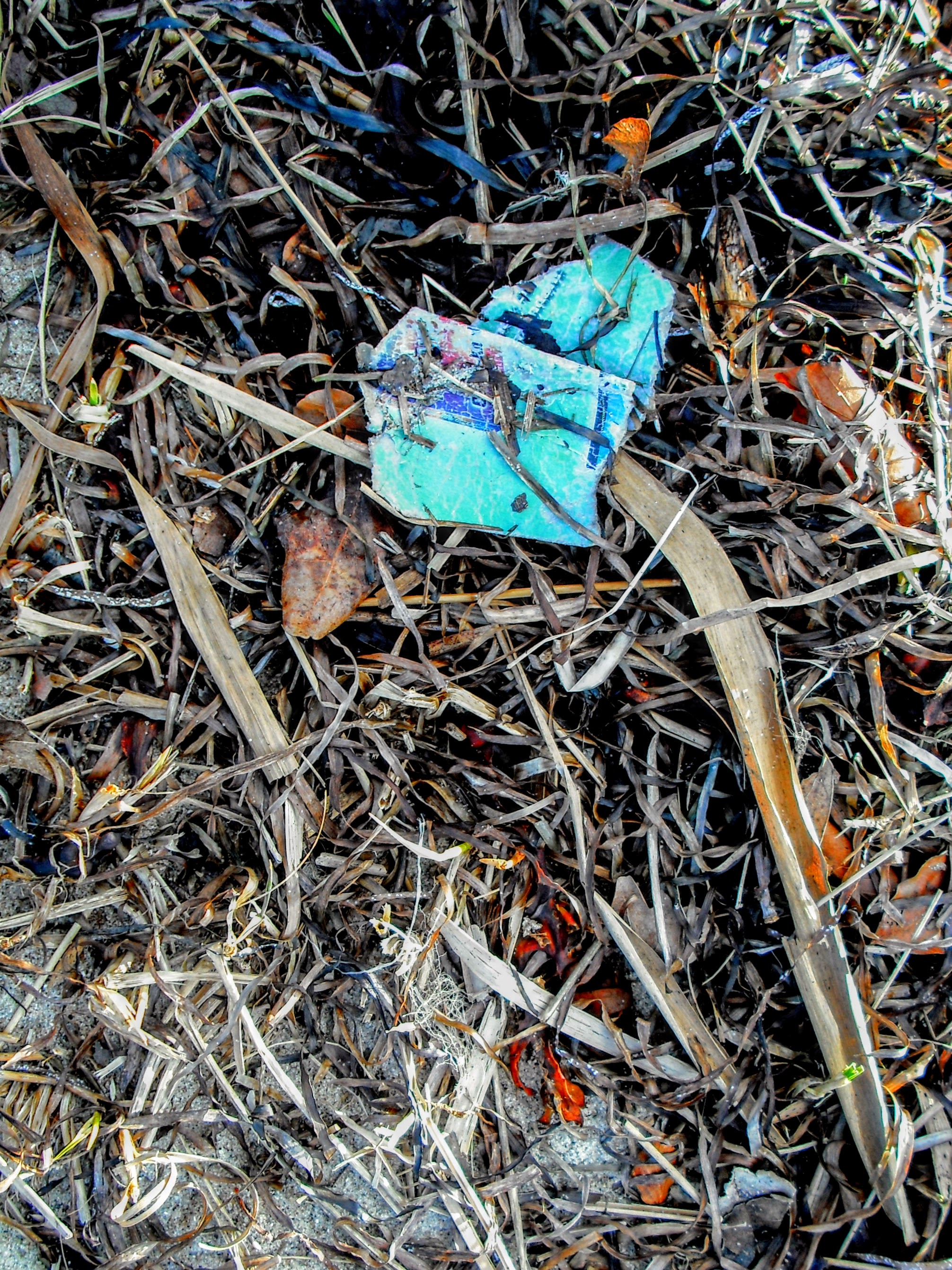 DSCF3270.jpg