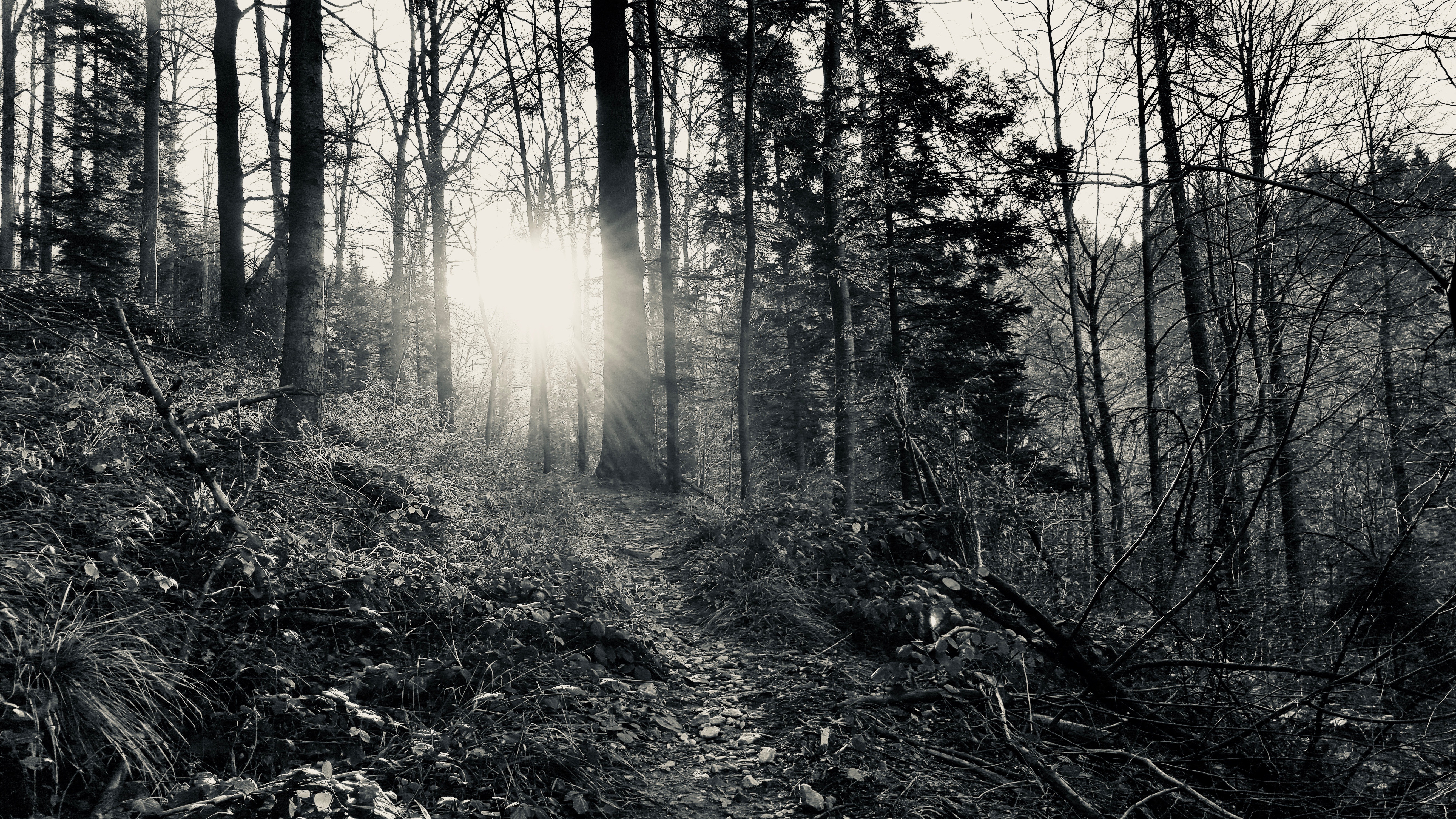 20151225_105708.jpg
