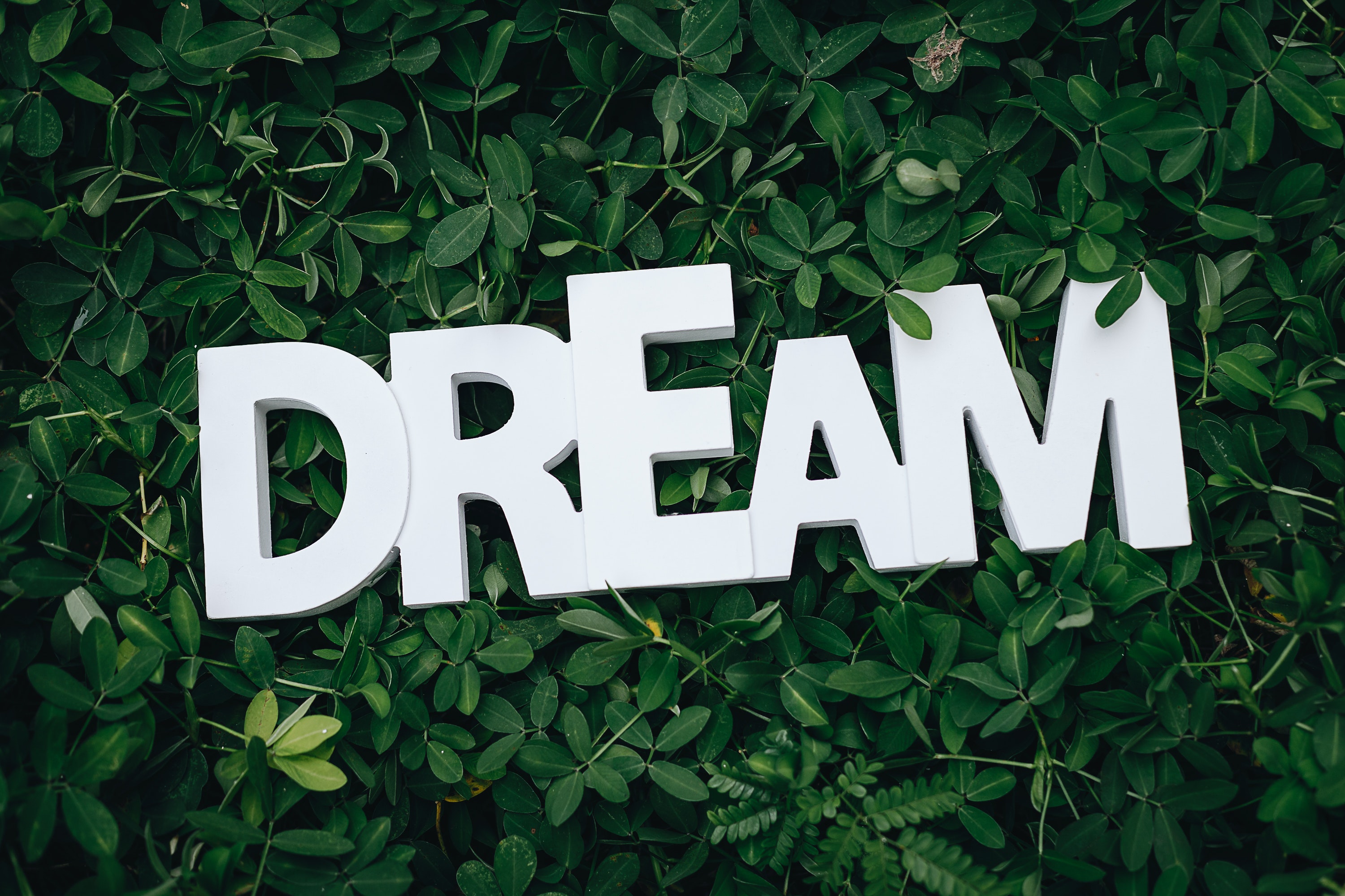dream-text-on-green-leaves-1535907.jpg