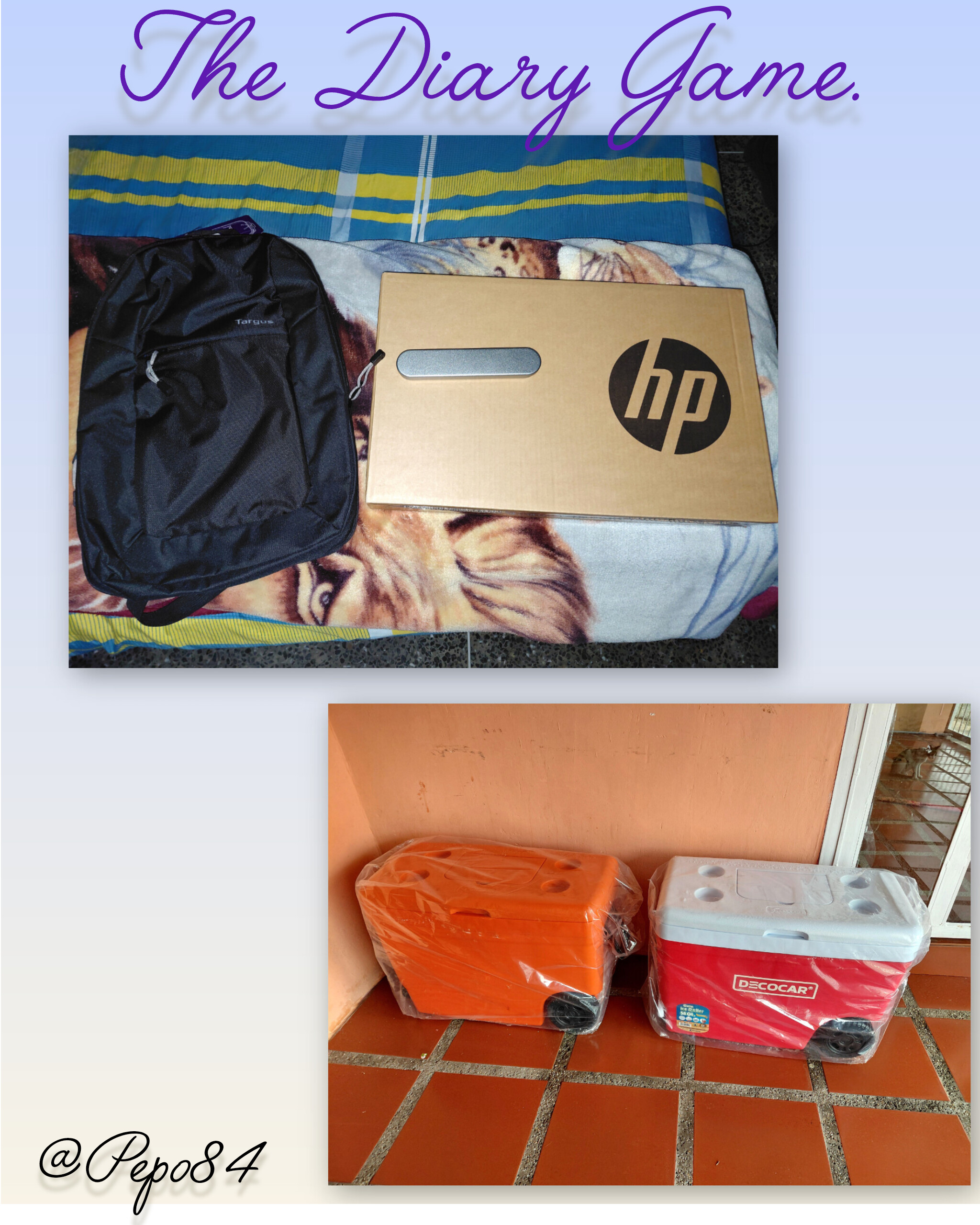 1000506042.jpg