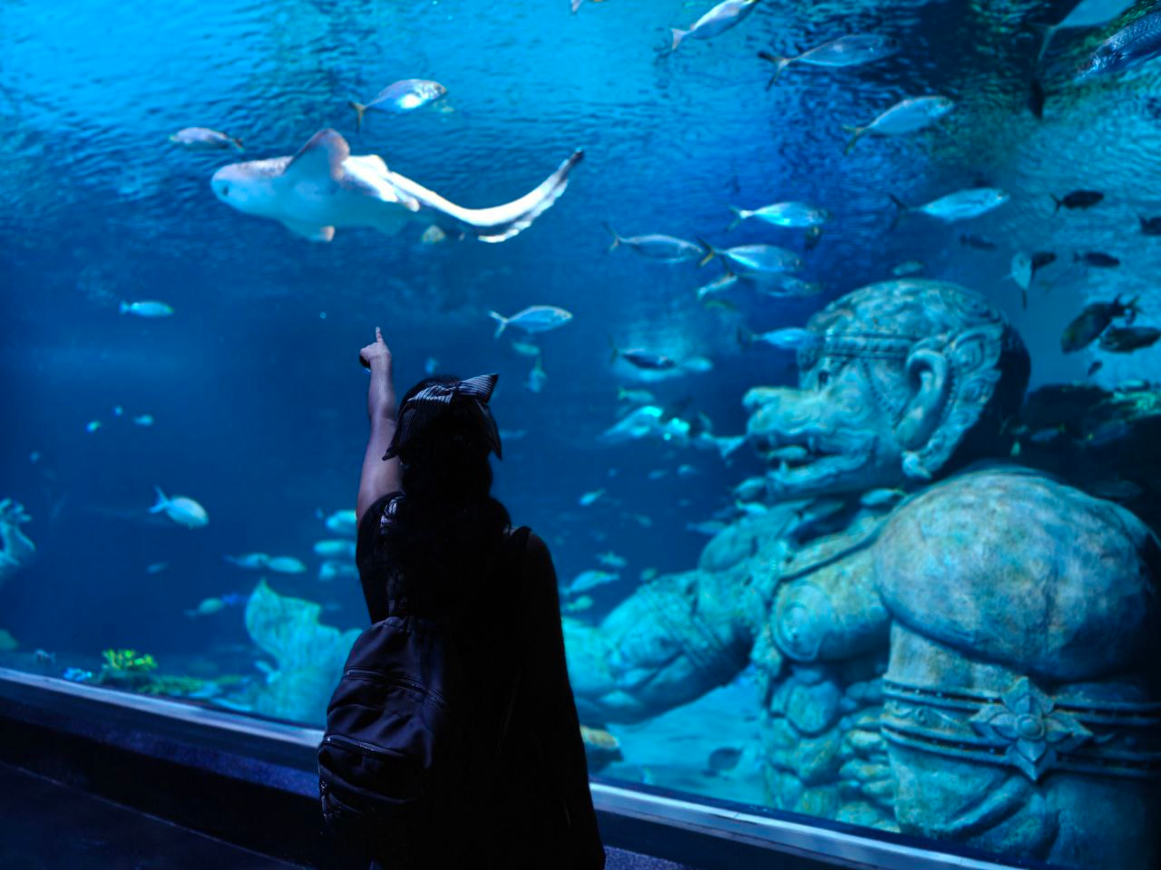 Beautiful Phuket | Part 5 | Aquaria Phuket