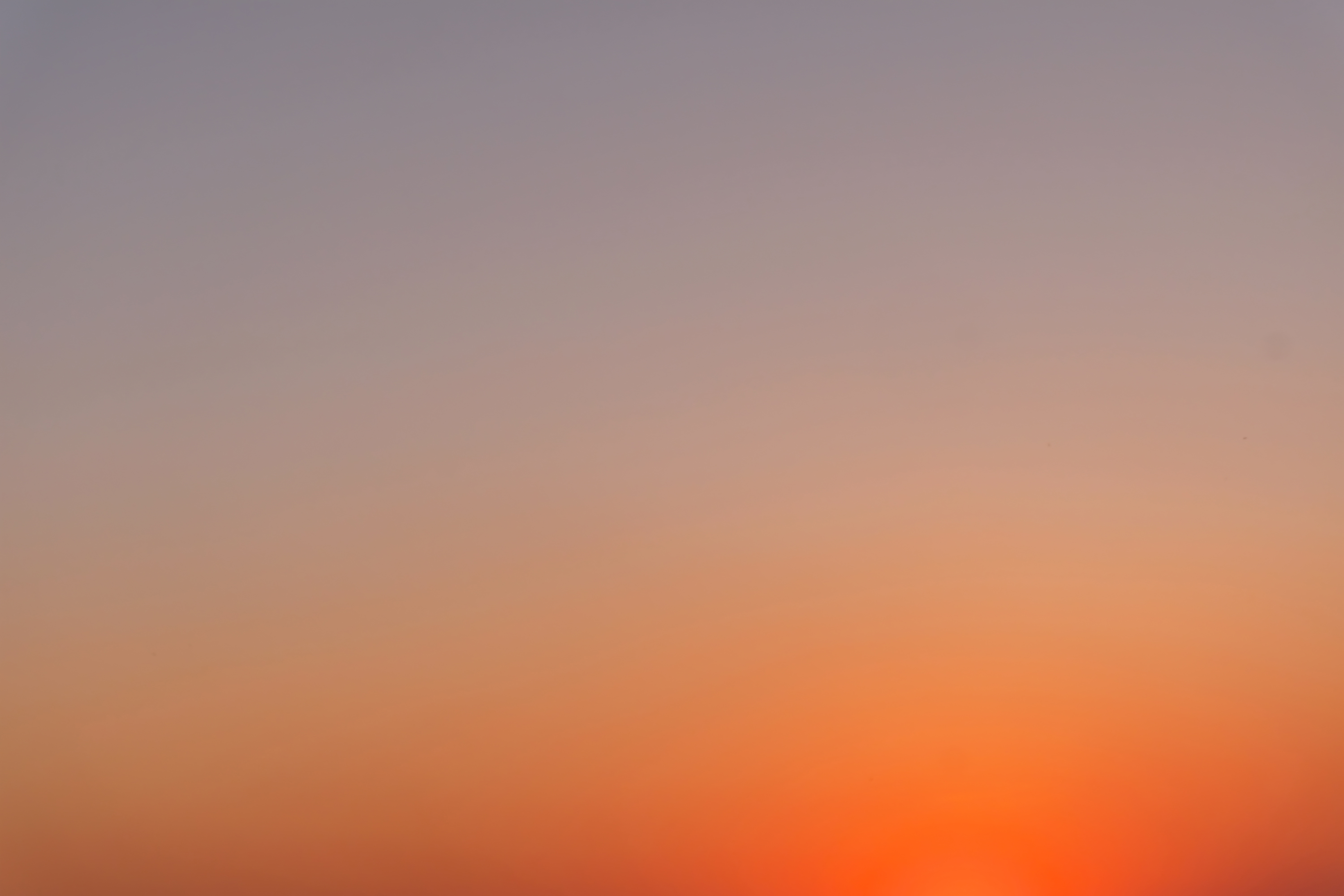 DSCF1388.jpg