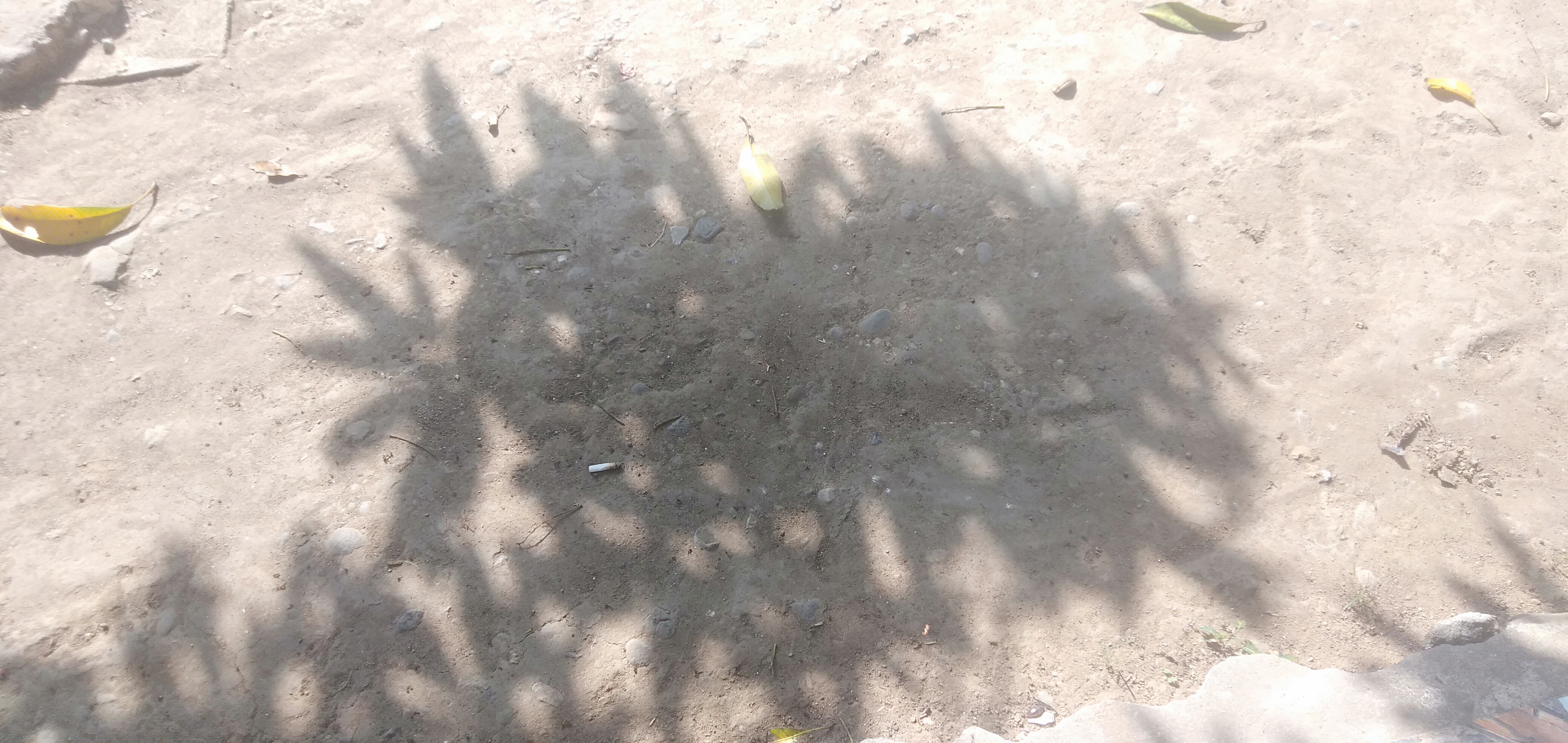 IMG20200302092816.jpg