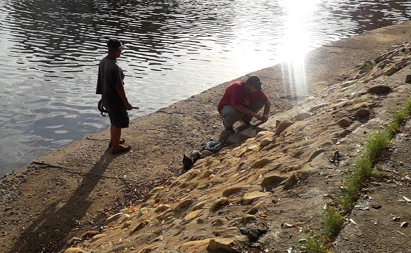 pescando.jpg