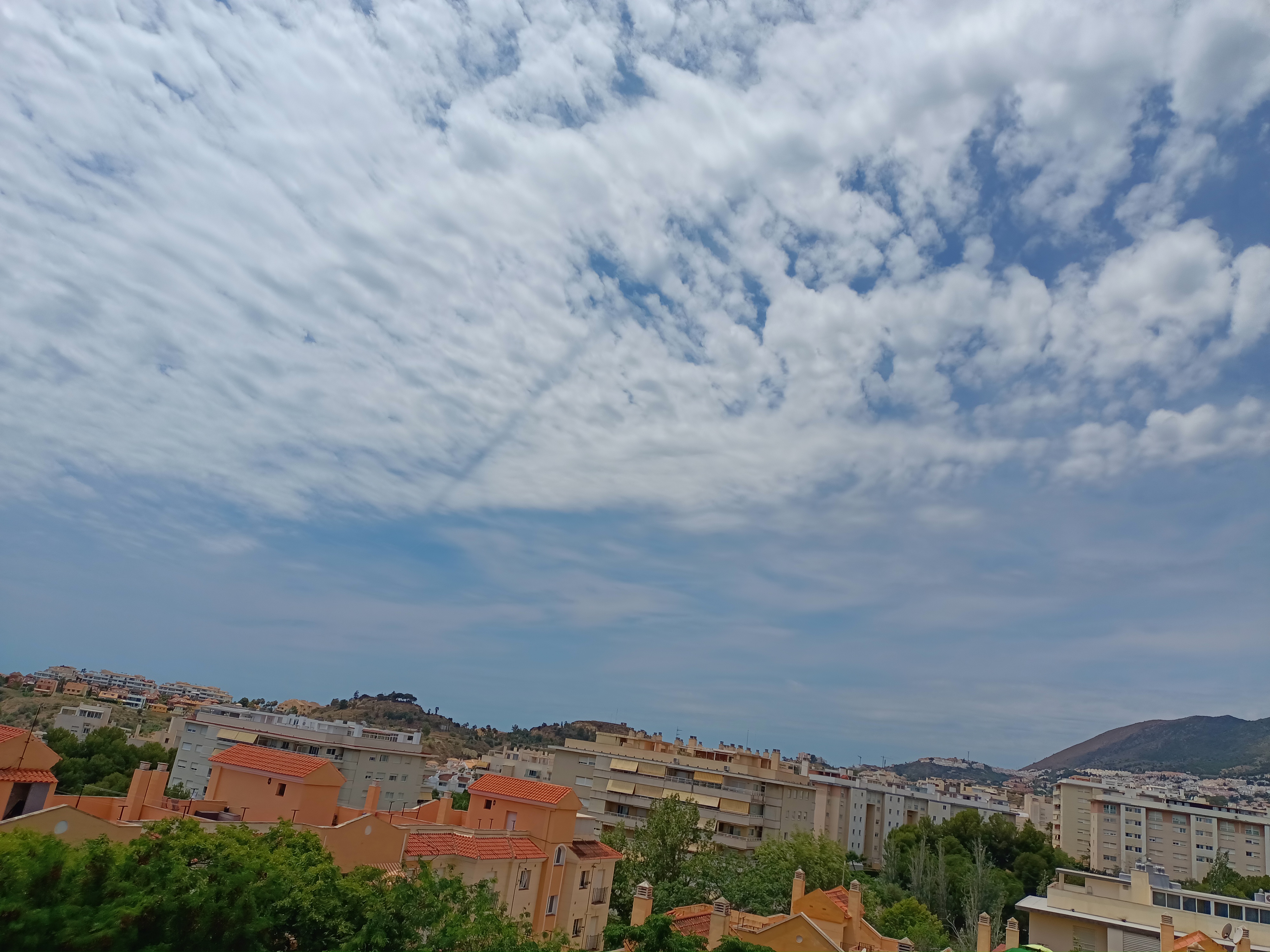 IMG20230620135234.jpg