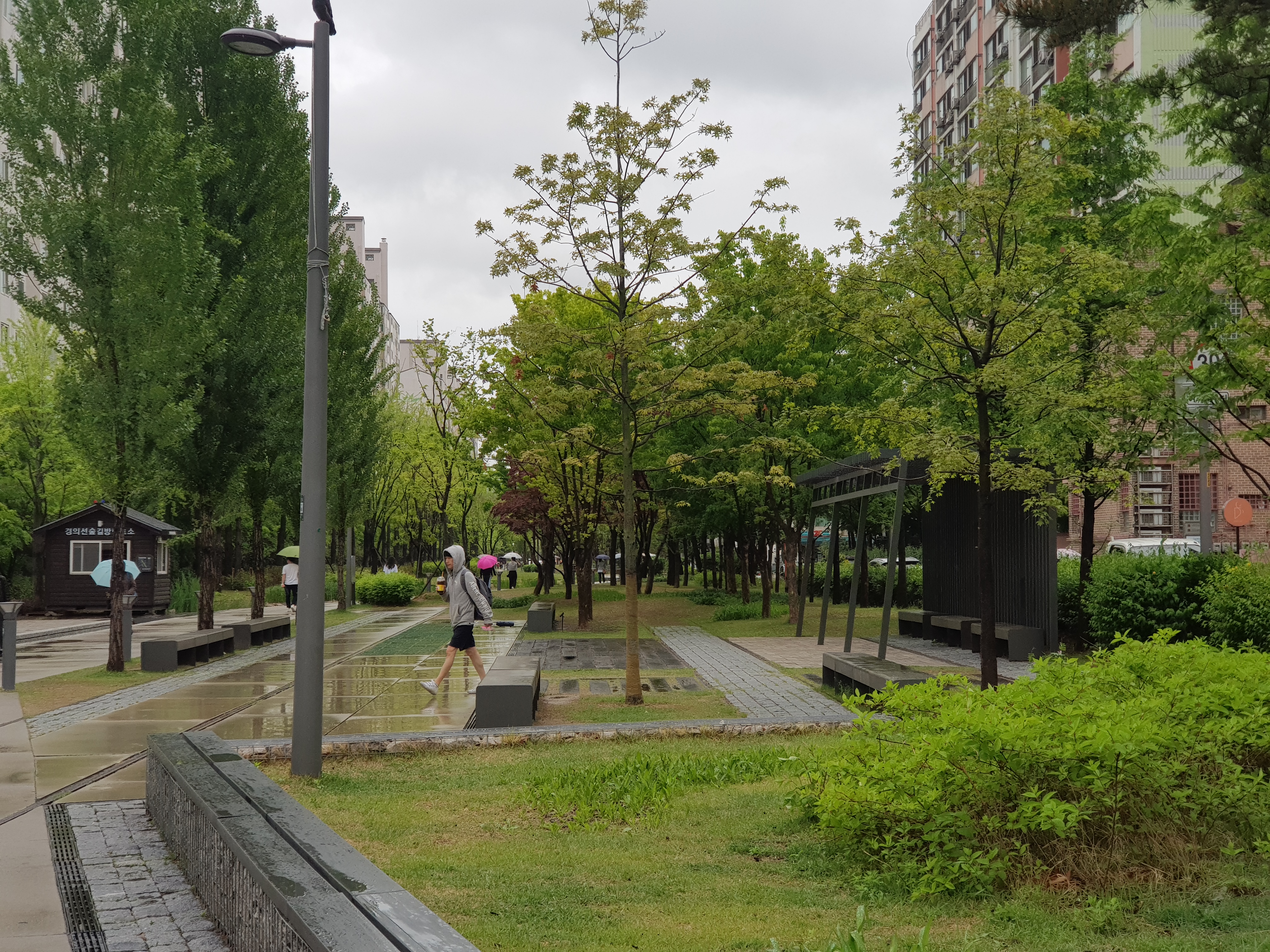 20180506_130325.jpg