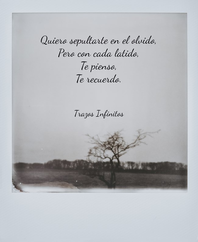 quiero-sepultarte-en-el-olvidopero-con-cada-latidote.jpg