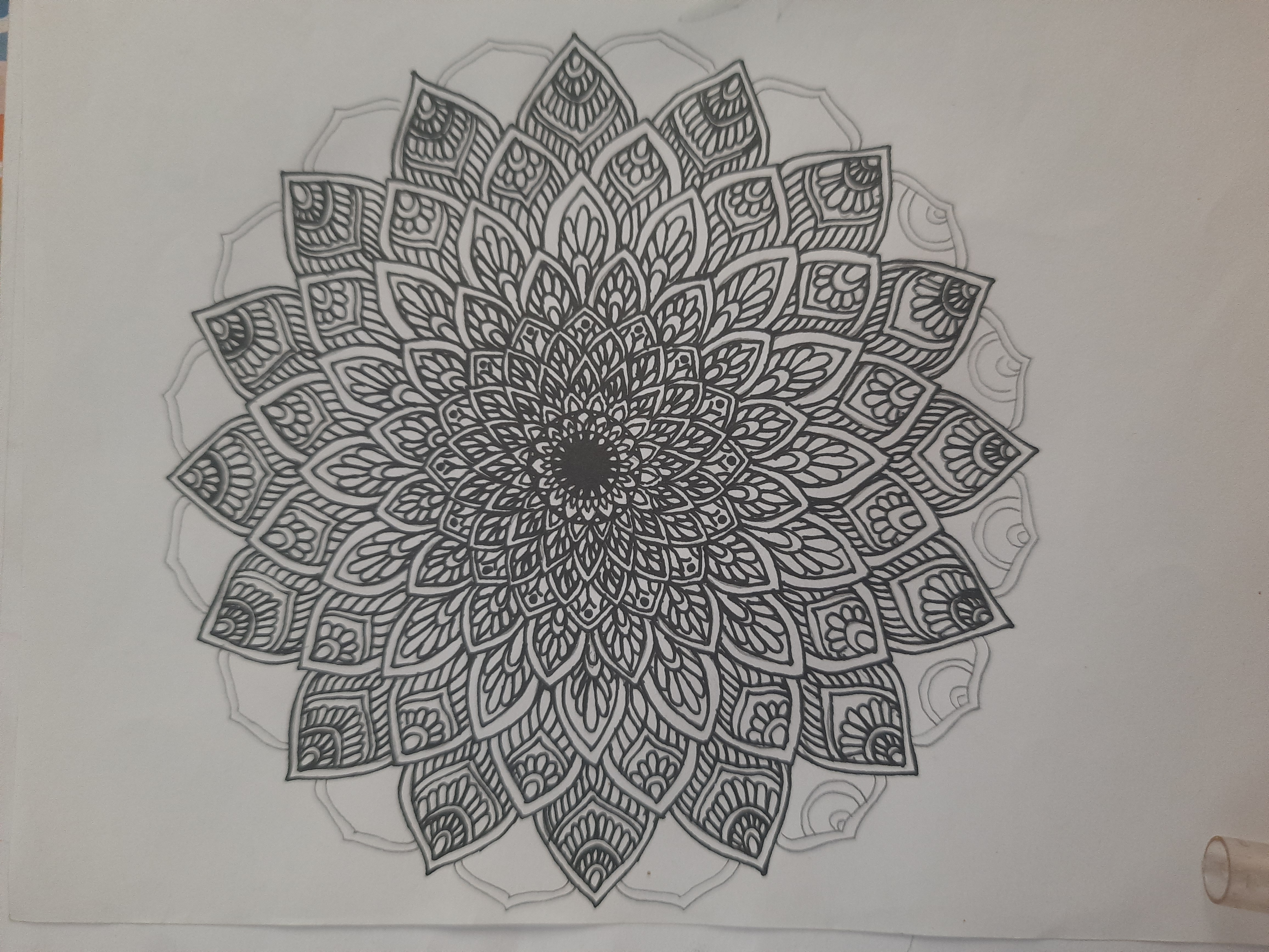 20260406_164929.jpg