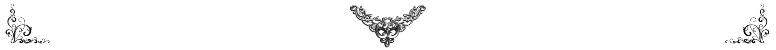 Banner Steemit BLOG.png