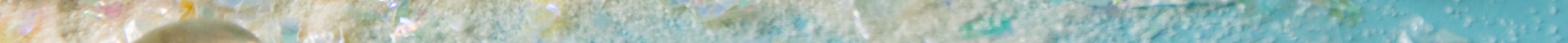 footer.jpg
