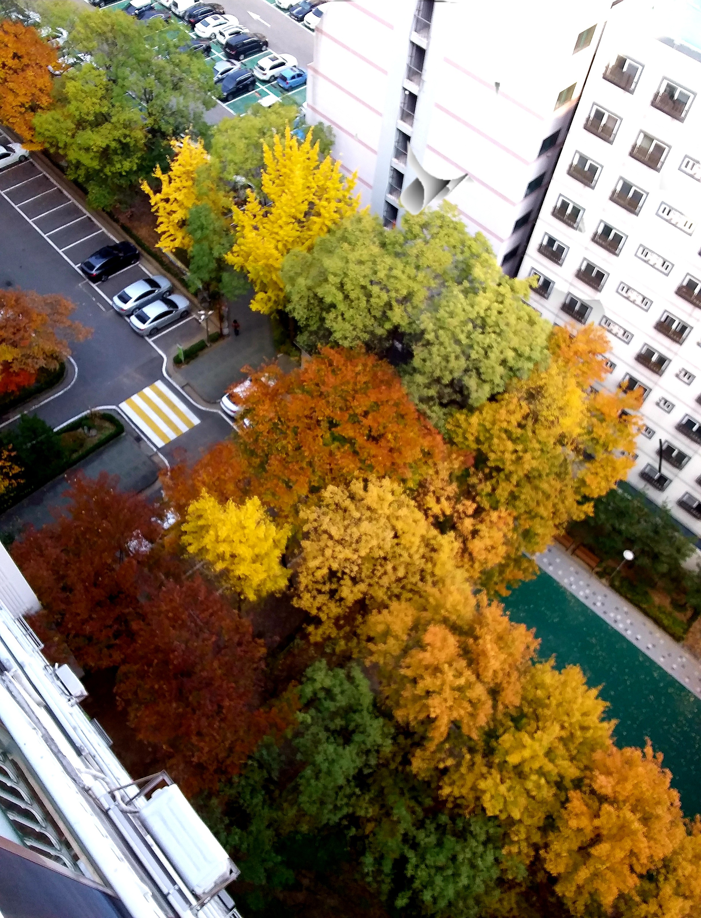 20201116_125251.jpg