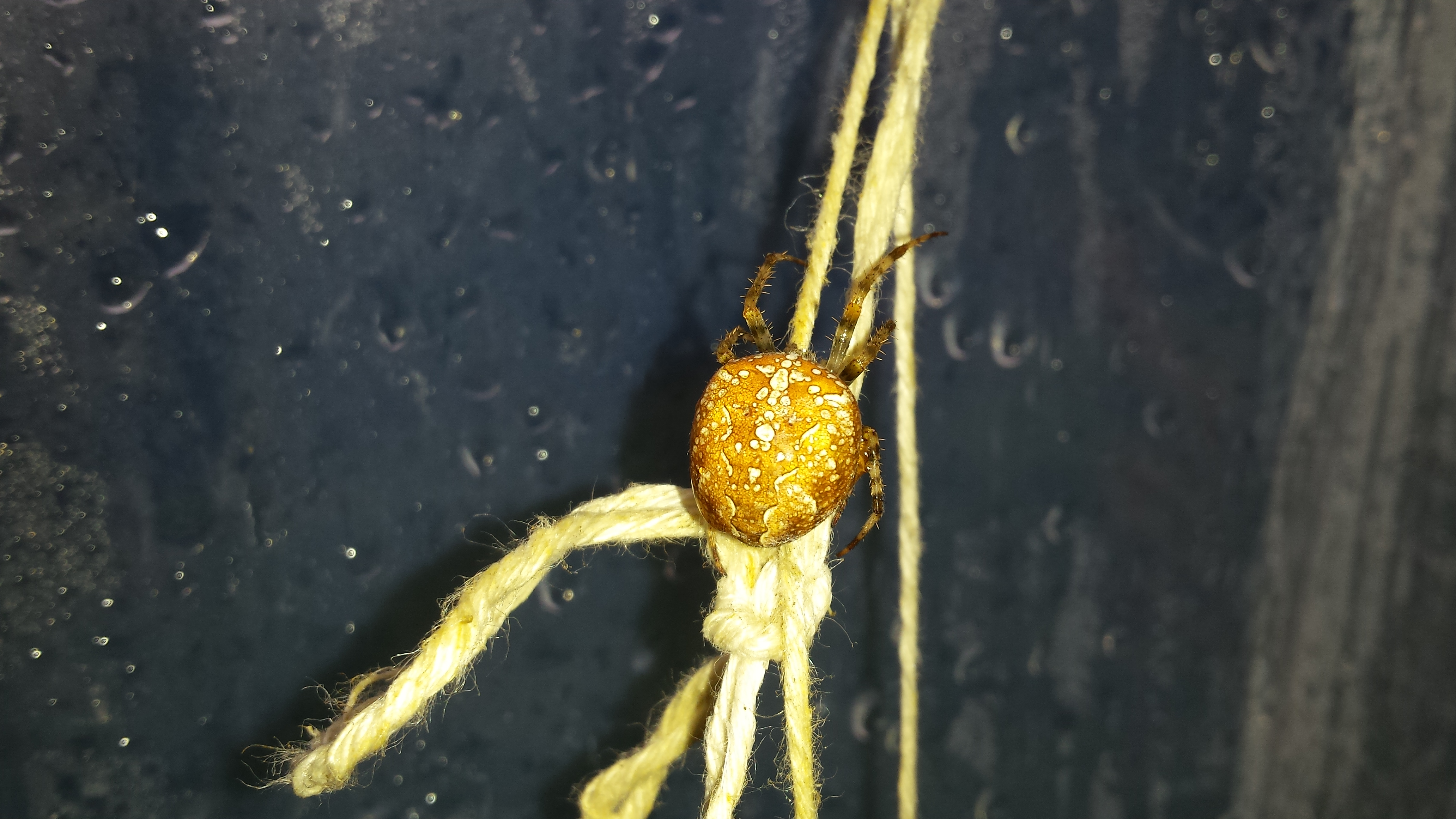 20191009_155843.jpg